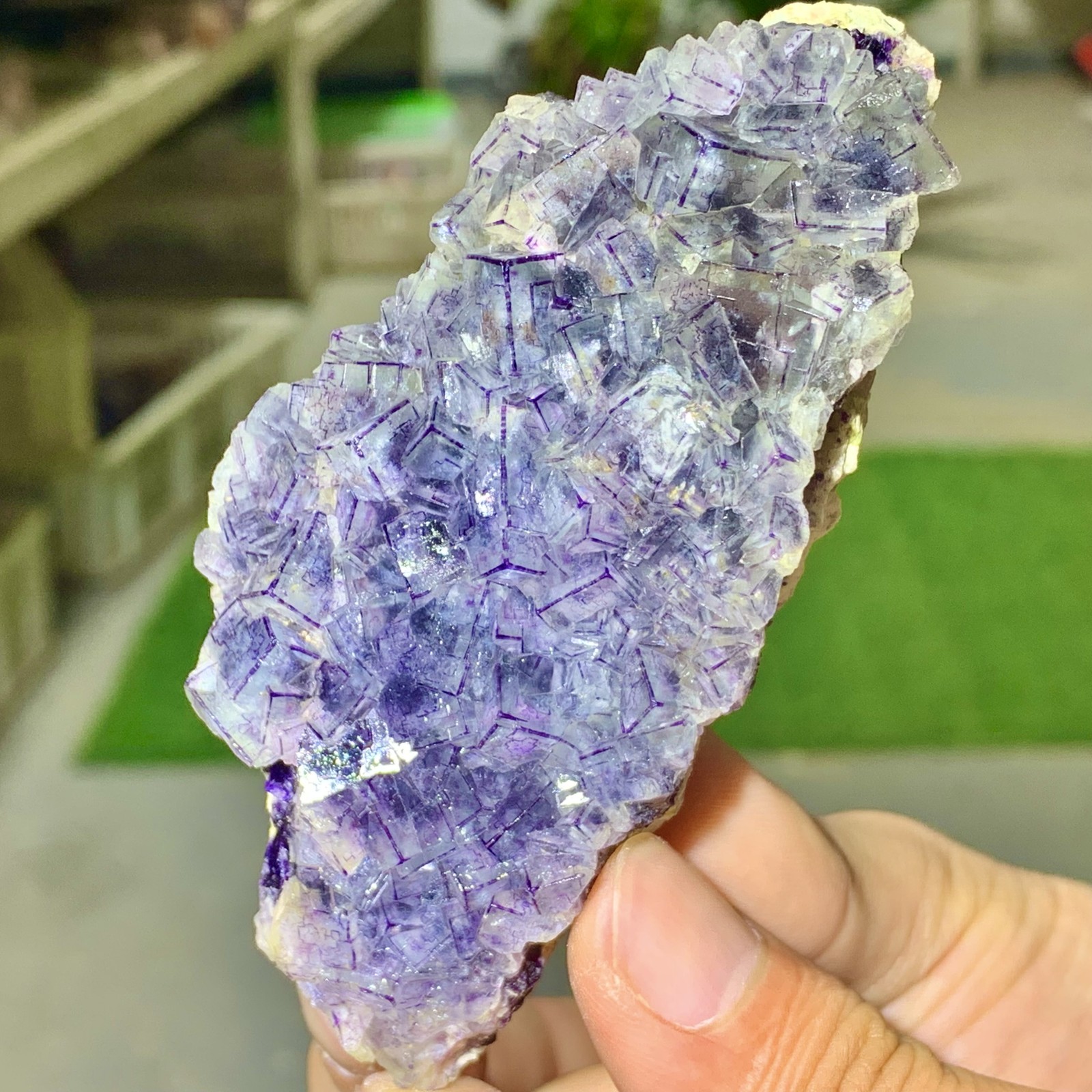 205GInner Mongolia Natural Fluorite Purple Edged Cube Crystal Mineral Specimen