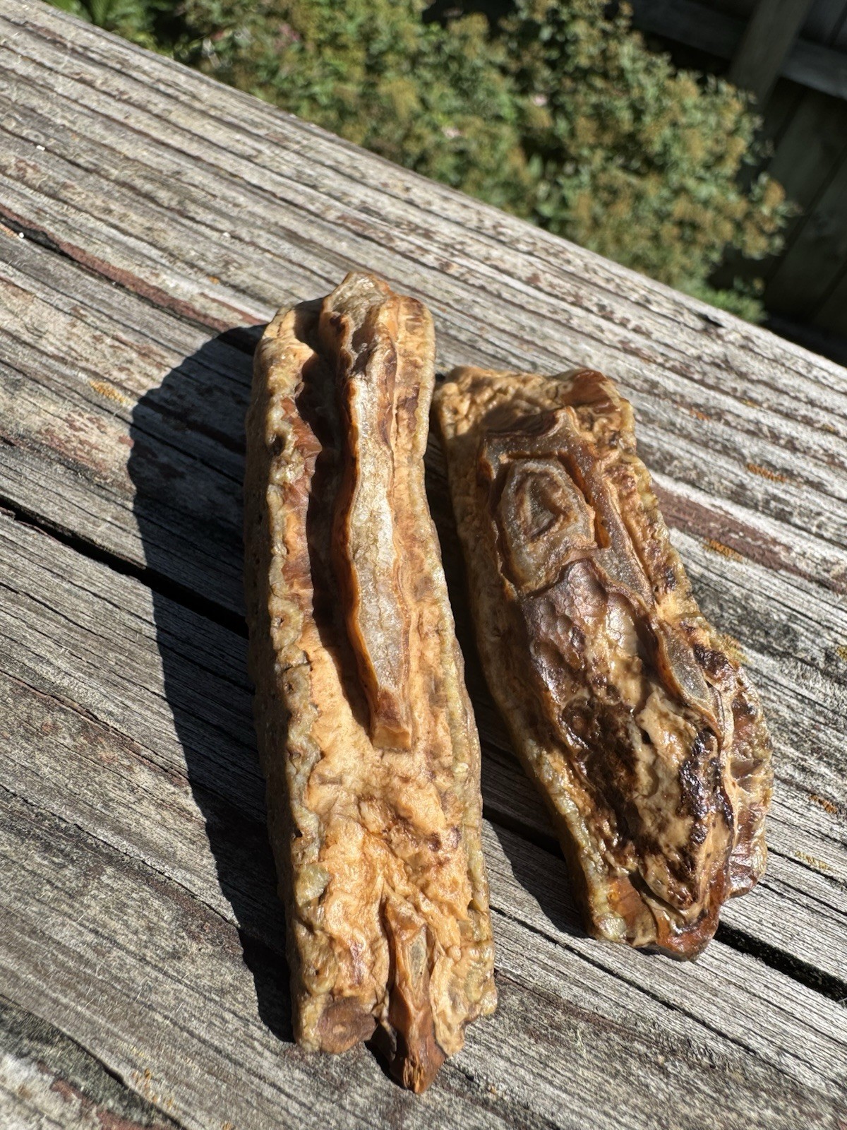 3.2oz Sumatran Agate *Rough Cut Natural Gemstone Collector Specimen ✨