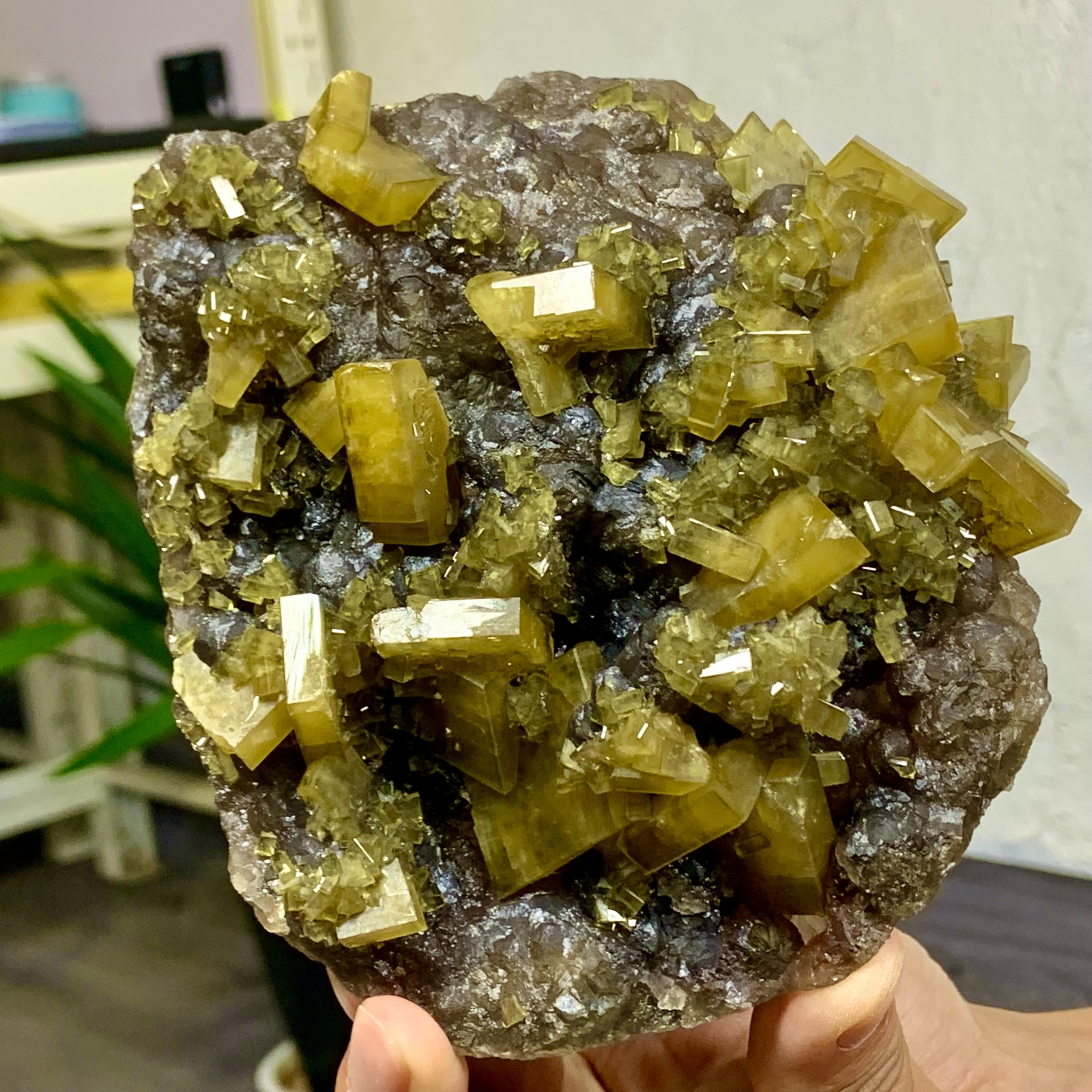 2.76LB Shiny Golden Cuboid Barite Crystal Based on the Purple Spherical Fluorite
