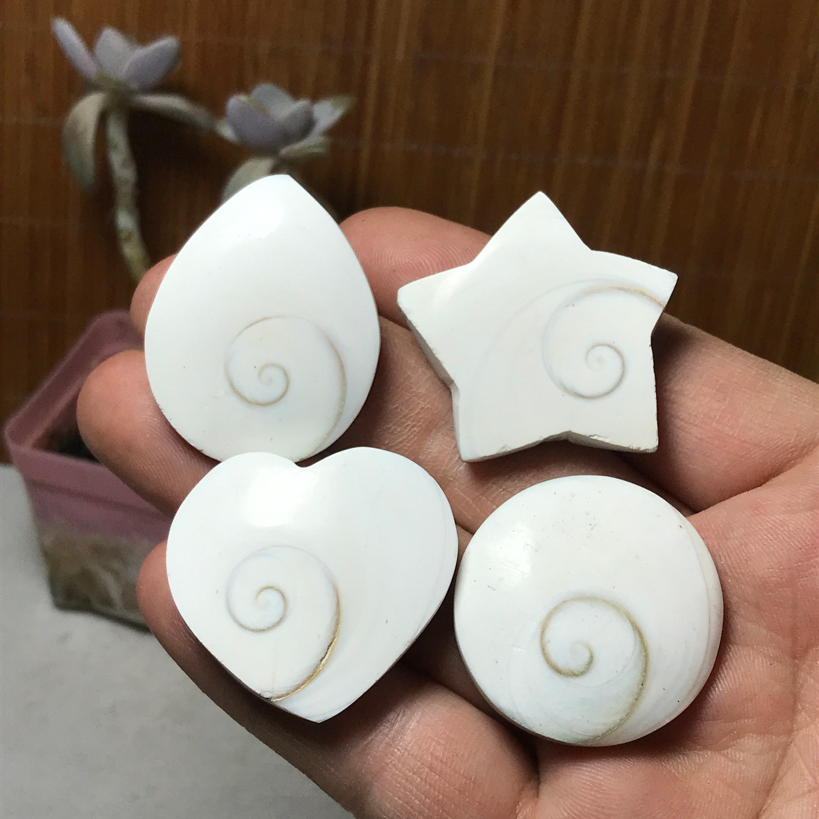4Pcs Natural sun shell star Heart Reiki Shiva Eye ocean quartz carve A3331
