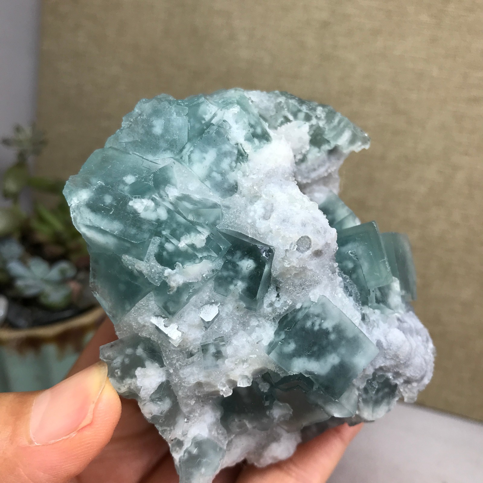 271g NATURAL Green Cubic FLUORITE paragenesis Crystal Cluster Specimen A4776