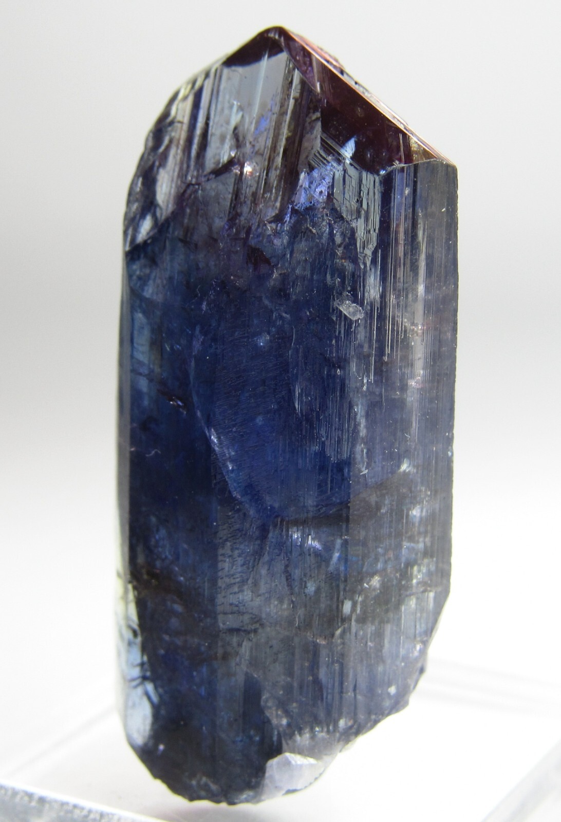 MESMERIZING AMAZING UNHEATED GEM TANZANITE CRYSTAL!!! TANZANIA
