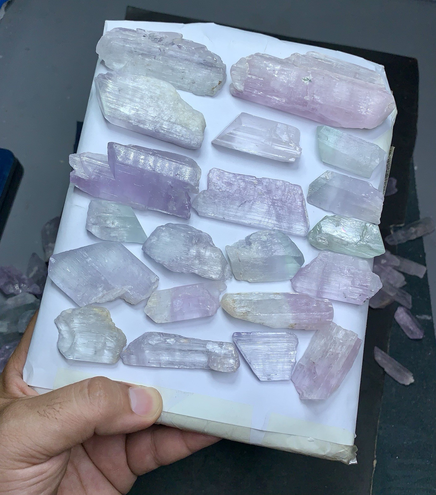 Multi Colour Kunzite 2000 Grams Well Terminated Crystals Lot ,(130 Crystals )