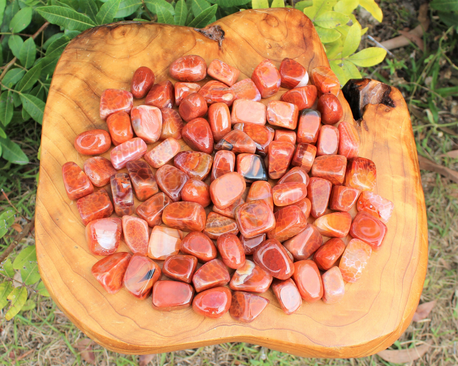 1 Fire Agate Tumbled Stone (Premium Quality ‘A’ Grade Fire Agate Crystals)