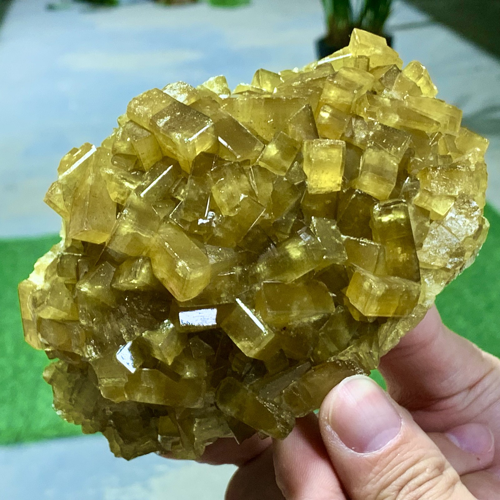 1.87LB Shiny Golden Cuboid Barite Crystal Based on the Purple Spherical Fluorite