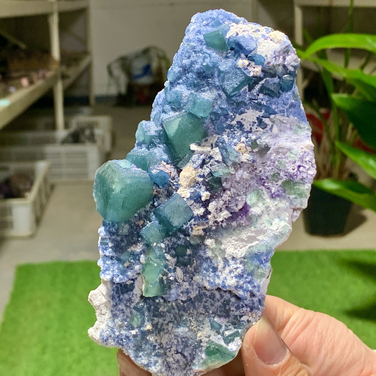 390G Rare transparent blue green cubic fluorite mineral crystal sample/China