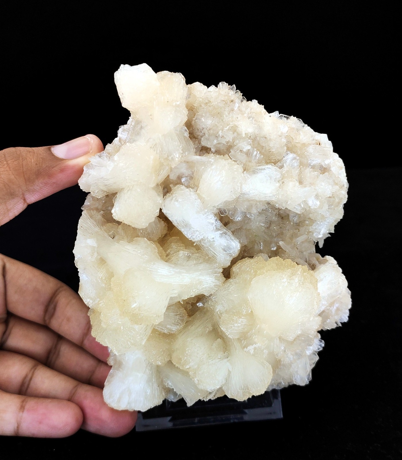Natural Bow-Tie Stilbite Cluster On Heulandite Minerals #31