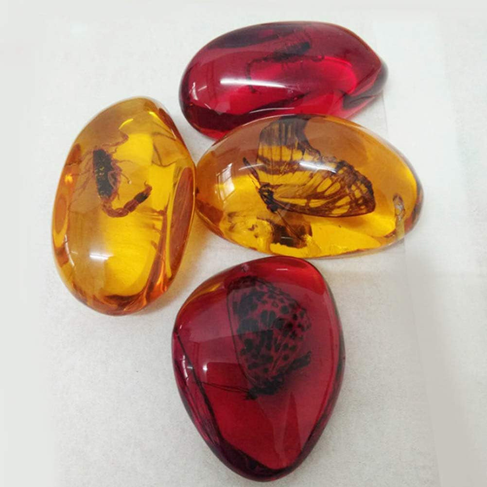 5Pcs Amber Fossil with Insects Samples Stones Crystal Specimens Home Decorations