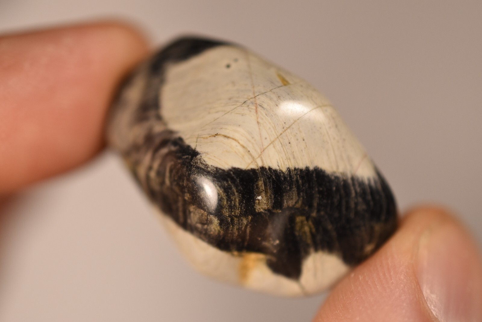 5 *SILVER LEAF JASPER* Tumbled Stones 2-4cm 71g Natural Stone