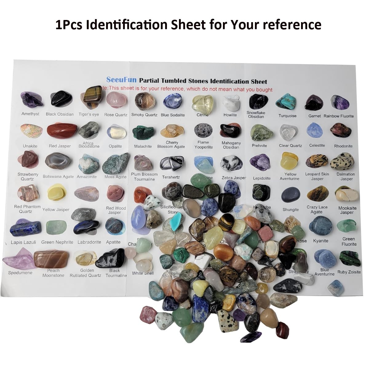 800Pcs+ (3lb) Gemstones and Crystals Set,30Kinds+ Bulk Rocks and Minerals Sci…