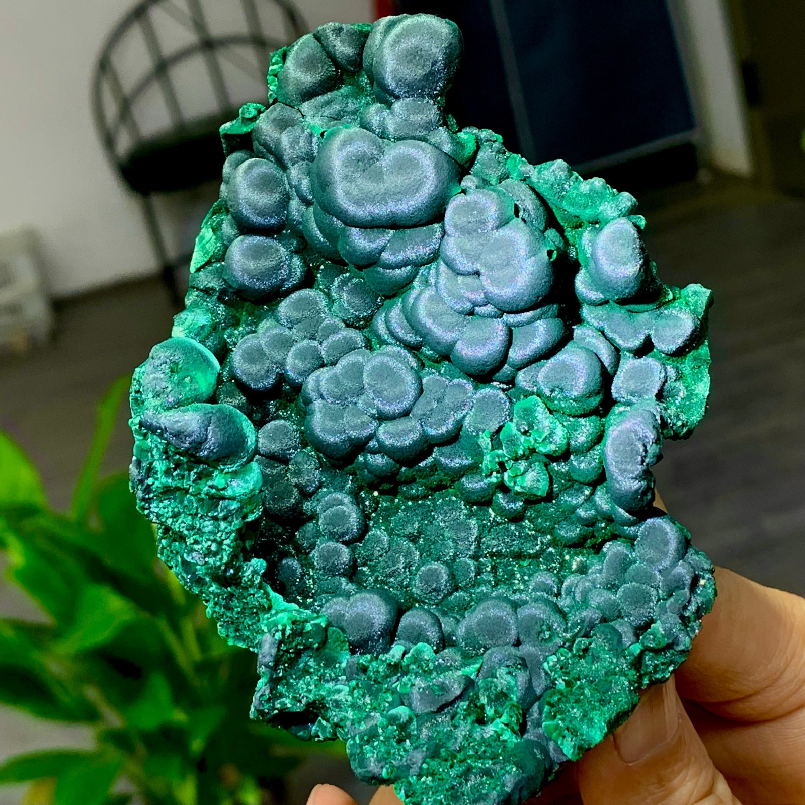 205g Natural glossy malachite cat eye transparent cluster rough mineral Sample