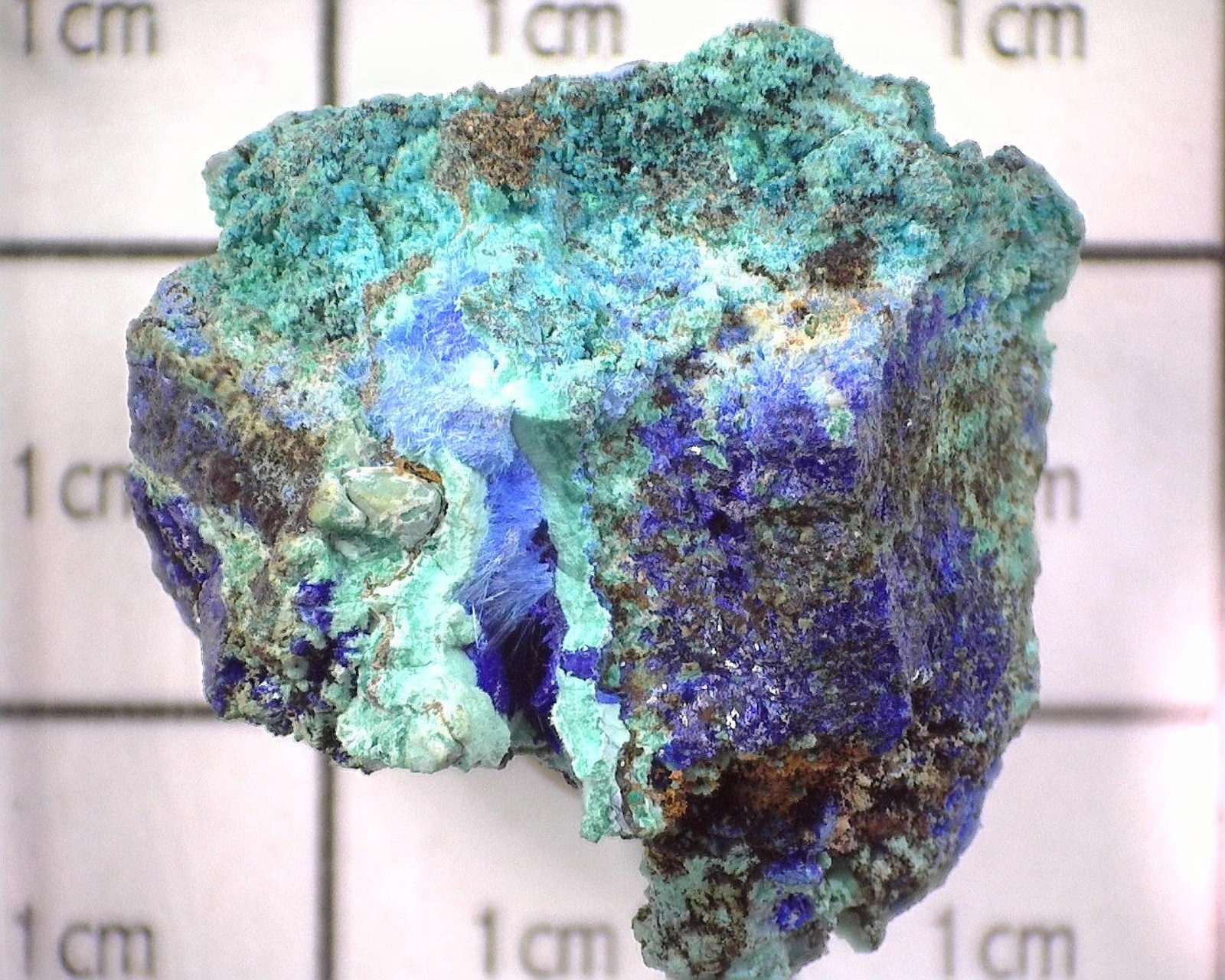 12979 MM Cyanotrichite Azurite (?)Spangolite Maid of Sunshine Mine Turquoise Min