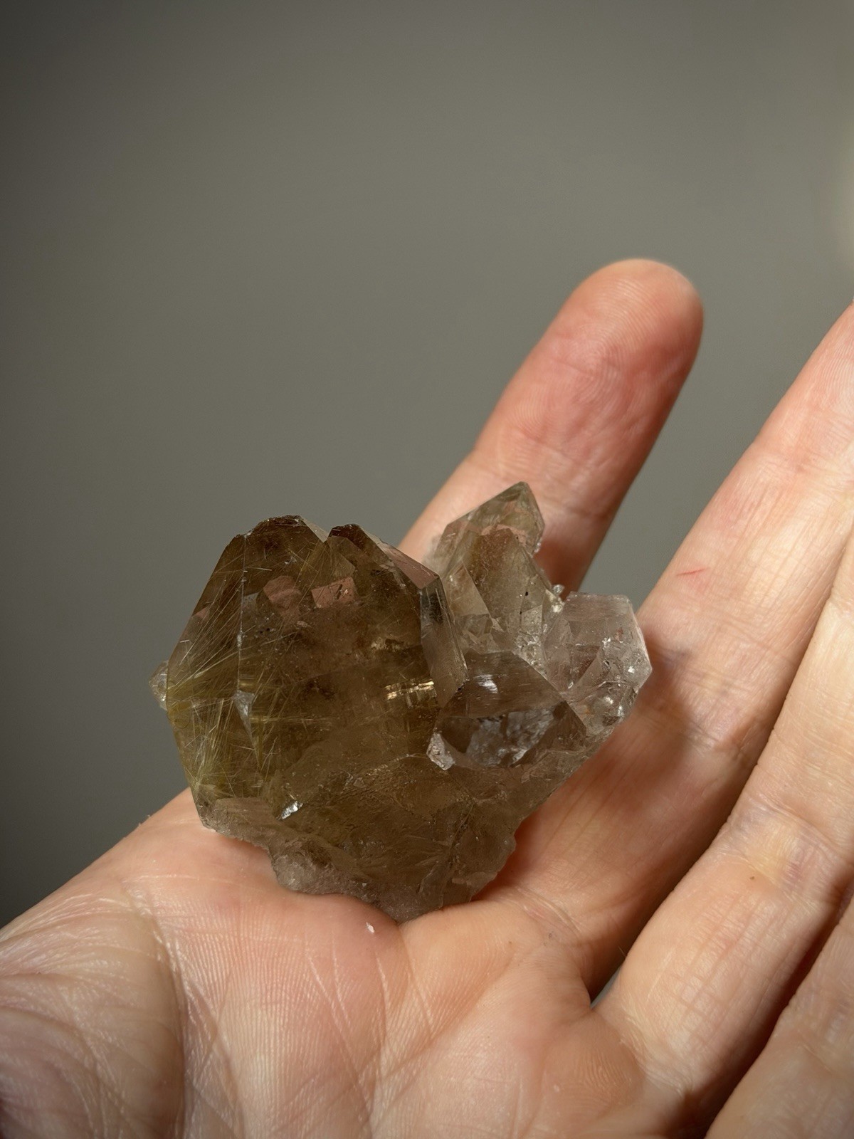 Rutilated Quartz Crystal Gold Rutile Inclusion Quartz Druzy Quartz Brazil
