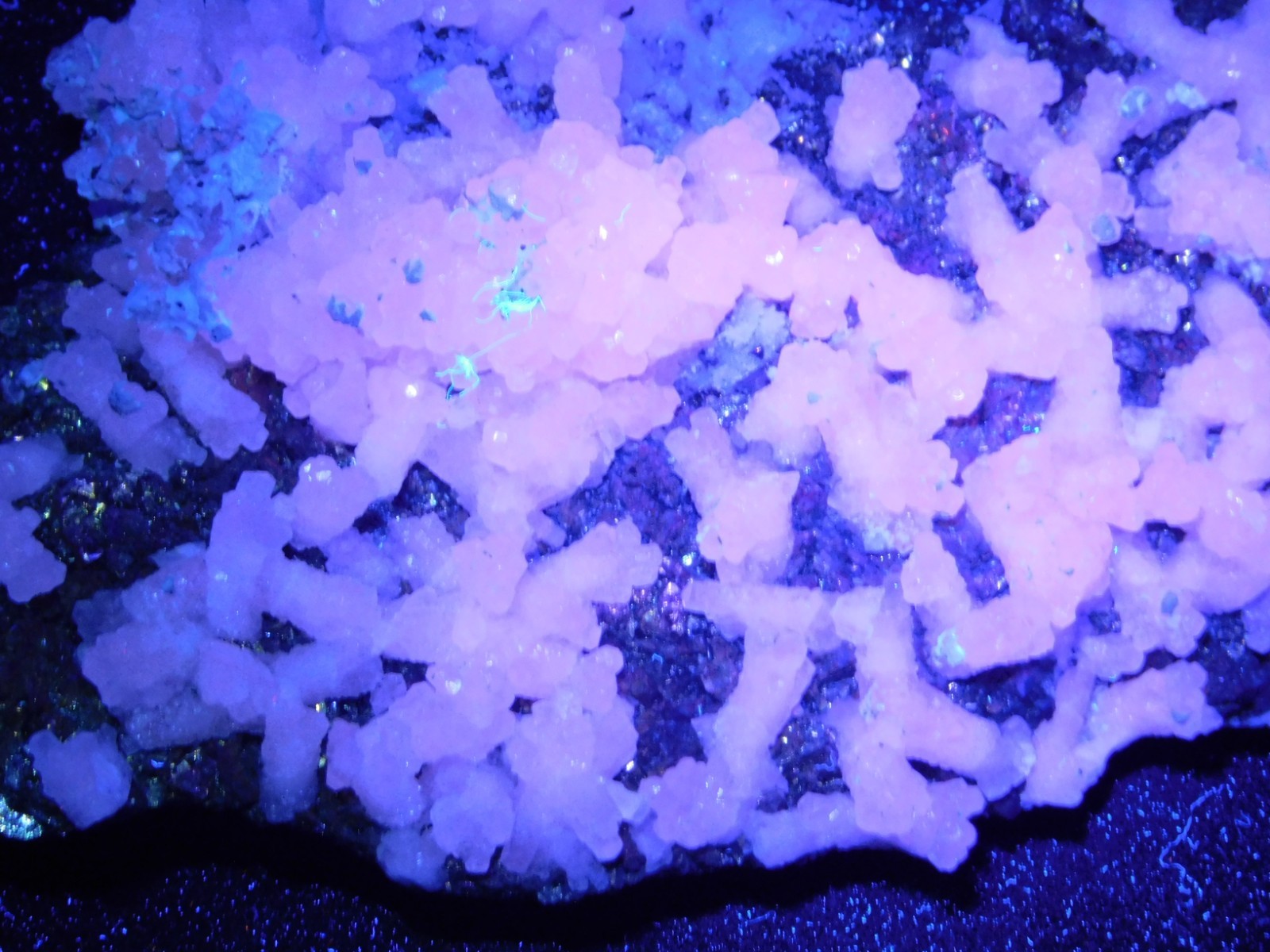 Big! MARCASITE Crystal Cluster with Fluorescent Calcite Crystals Mexico 538gr