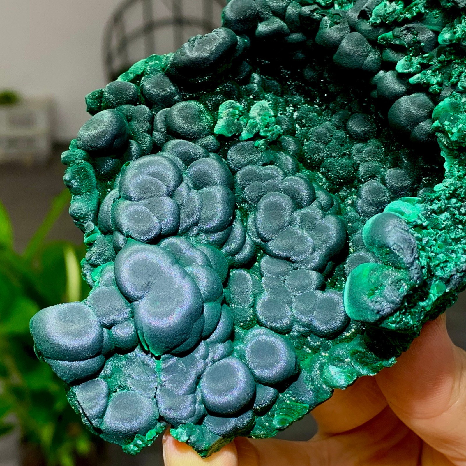 205g Natural glossy malachite cat eye transparent cluster rough mineral Sample