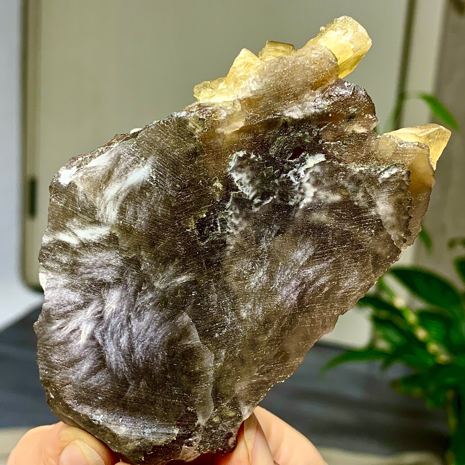338G Shiny Golden Cuboid Barite Crystal Based on the Purple Spherical Fluorite