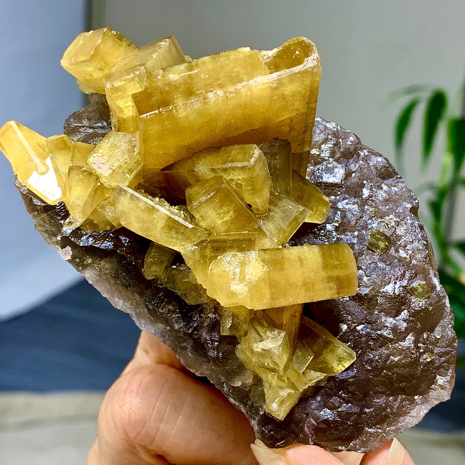 338G Shiny Golden Cuboid Barite Crystal Based on the Purple Spherical Fluorite