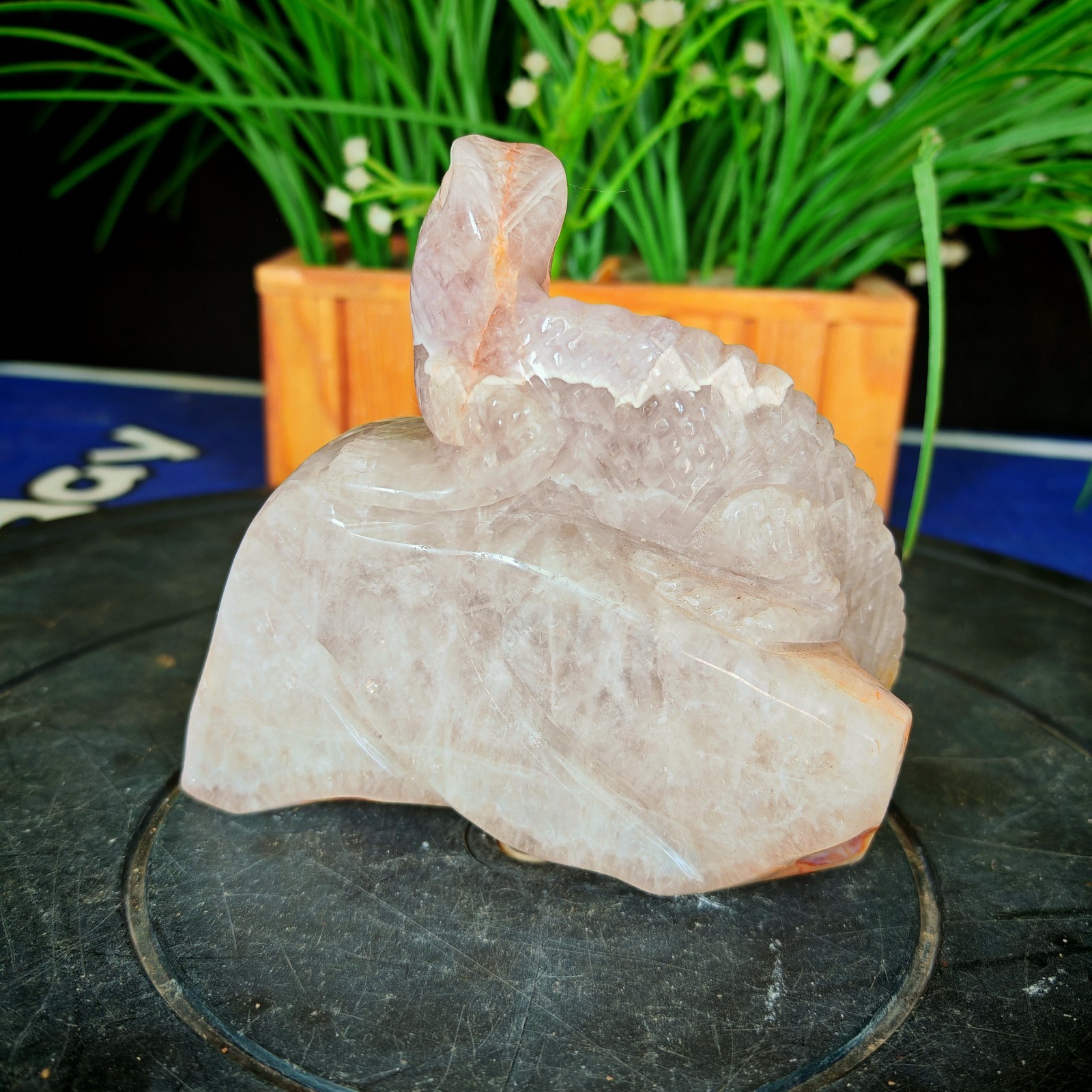 2.31LB Natural Crystal Purple Agate Carved Lizard Reptile & Crystal Lovers