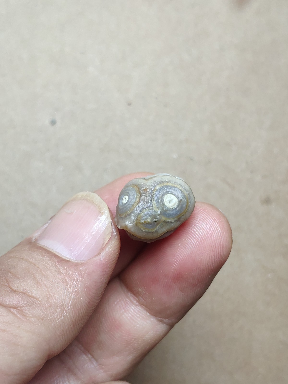 17mm Beautiful Natural agate Gobi agate eye agate cute collection