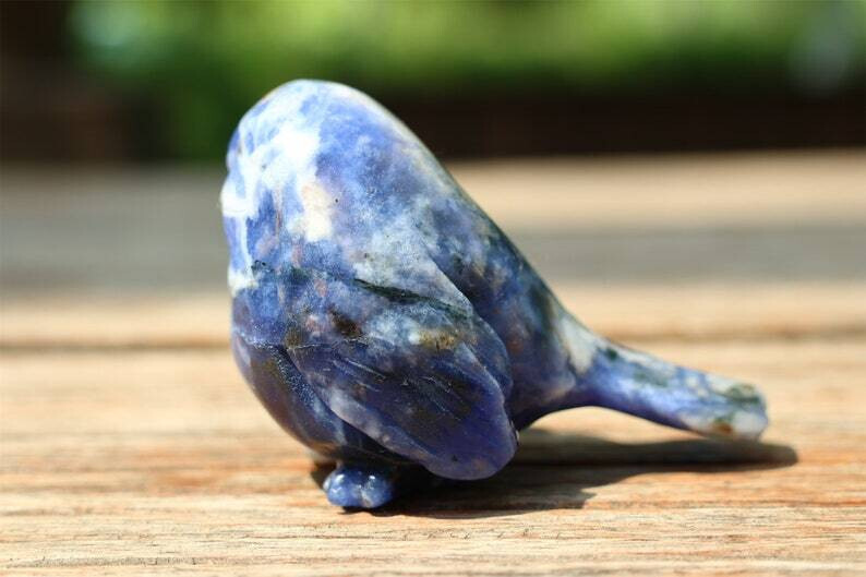 1pc Natural Sodalite Quartz Carved Bird Skull Crystal Reiki Decor Gift 2.4”