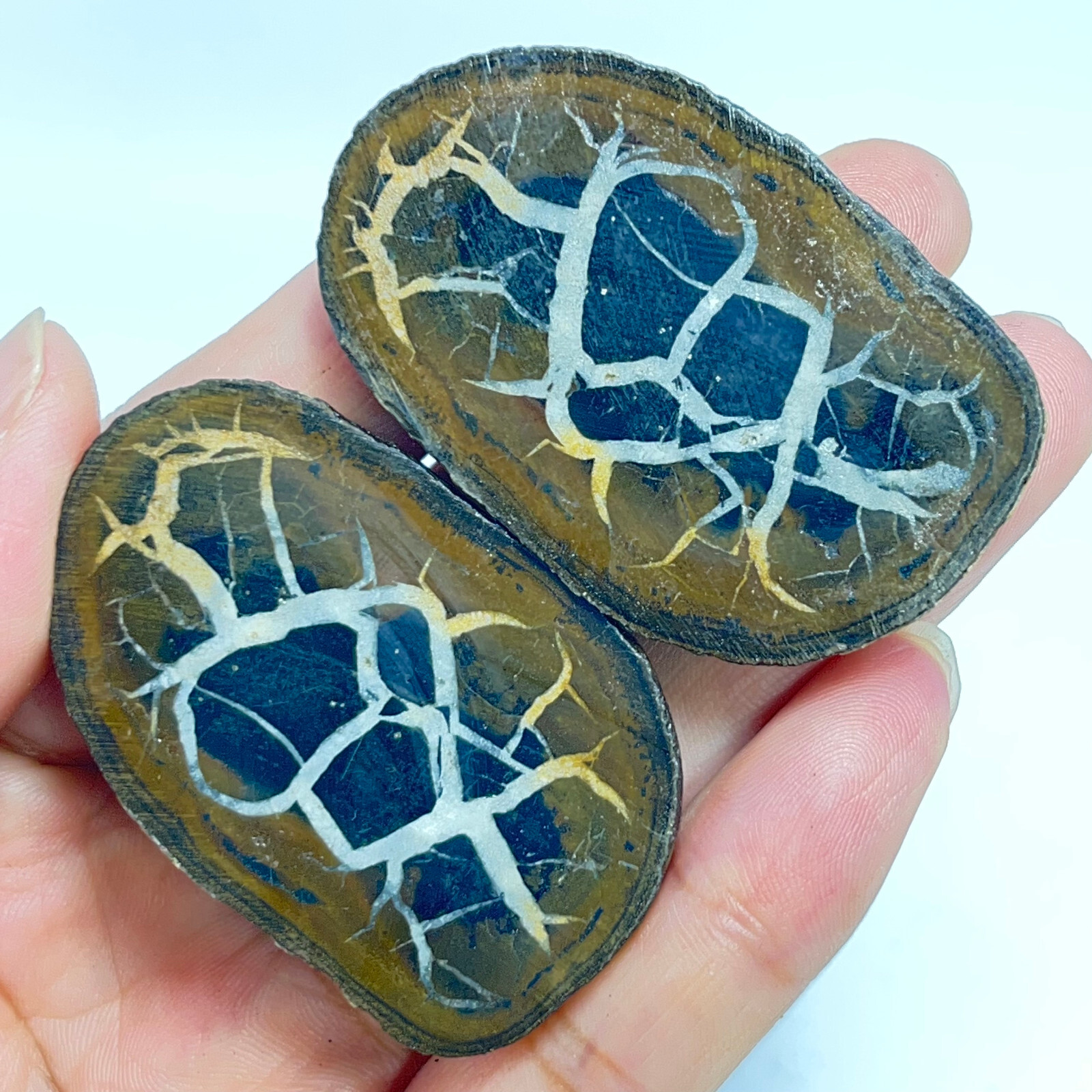 62G Natural Crystal Moroccan Turtle Back Stone Cutting Quartz Energy Spirit