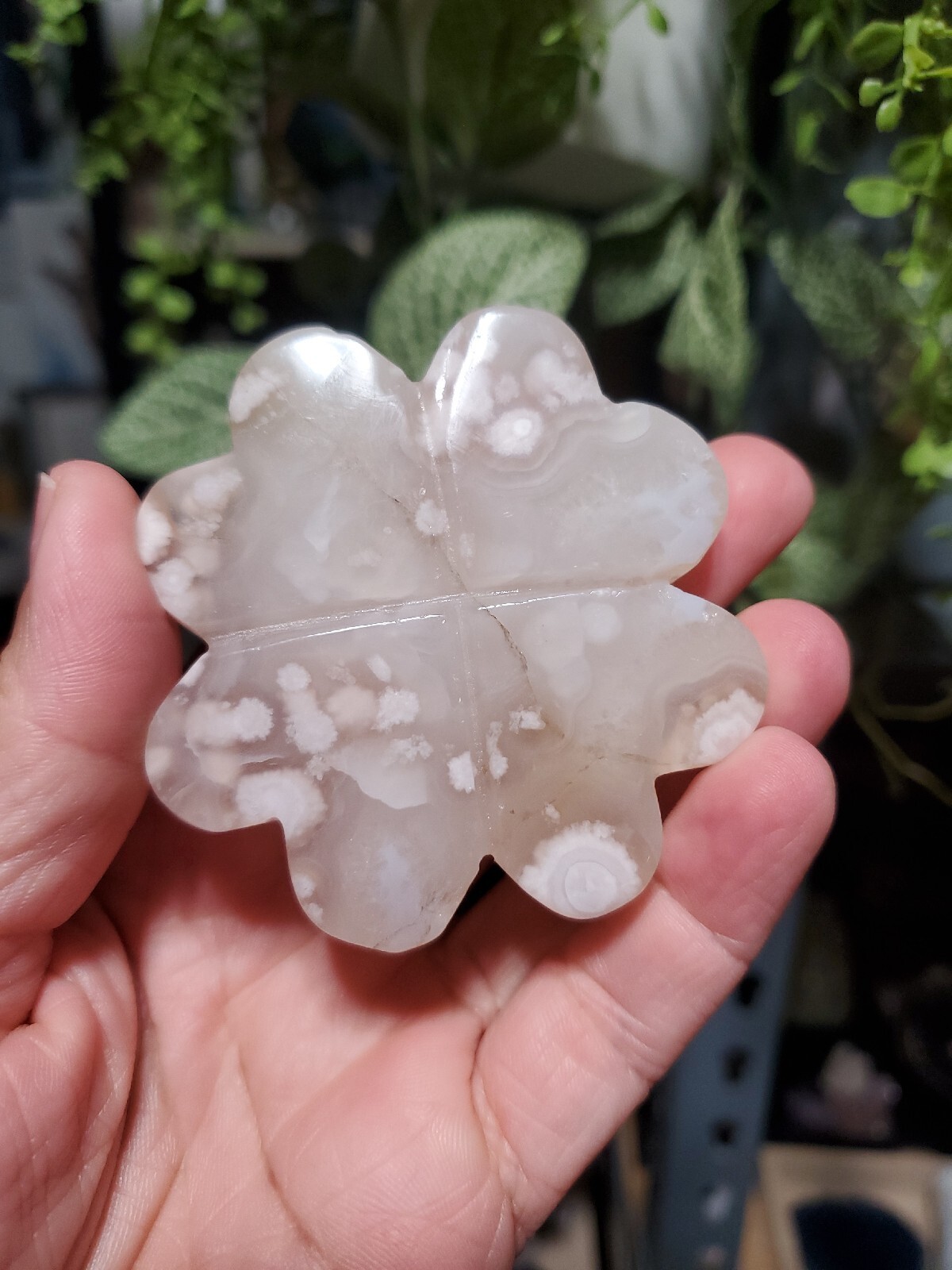 104g Natural Flower Agate Four-leaf Clover Crystal Quartz BIN W