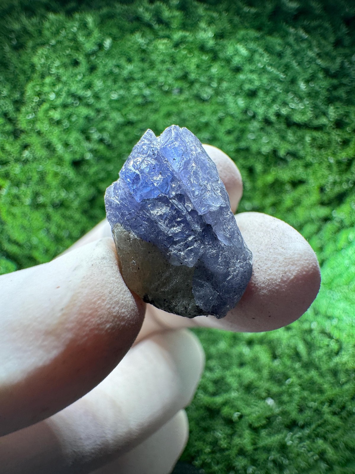 TANZANITE Crystal with COLOR CHANGE under / N878