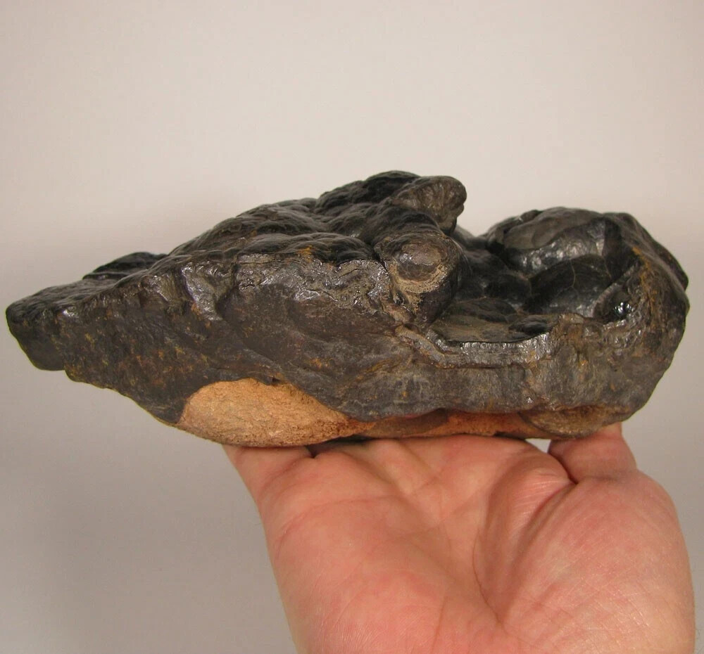7.8″ BOTRYOIDAL HEMATITE Kidney Ore Cluster – Morocco – 6 lbs.