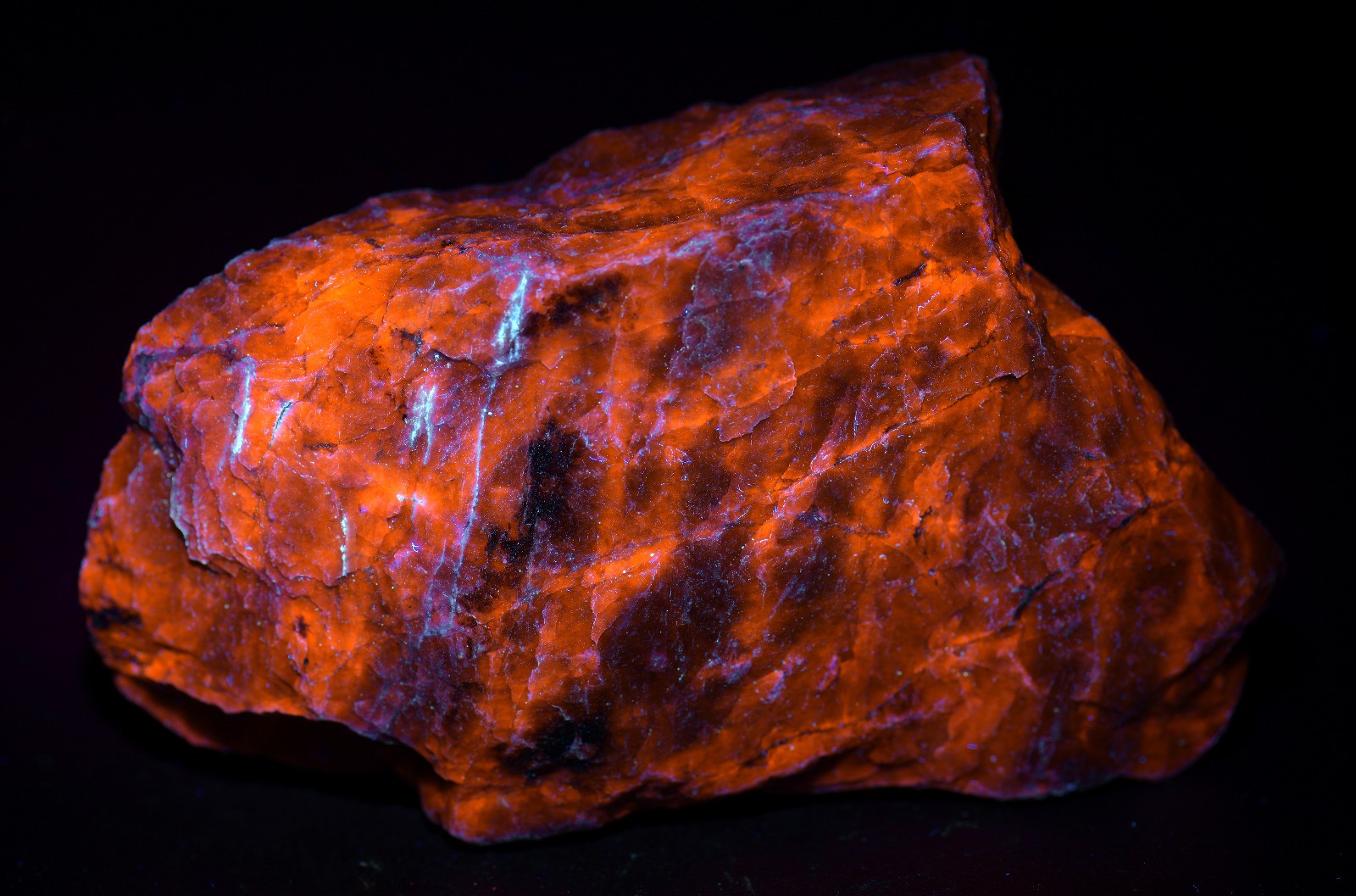 Sodalite, rich blue color, bright orange UV! Kunene region, Namibia. 320 grams.