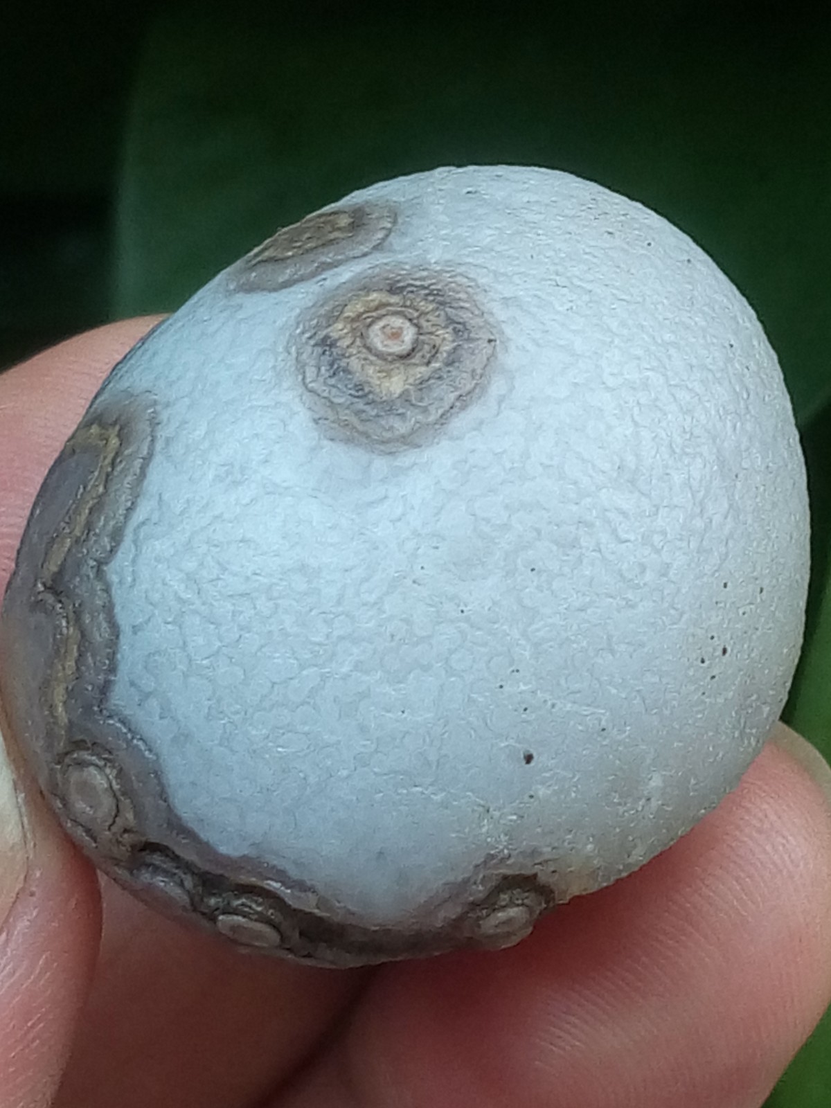 32mm Beautiful Natural agate Gobi agate eye agate stone collection
