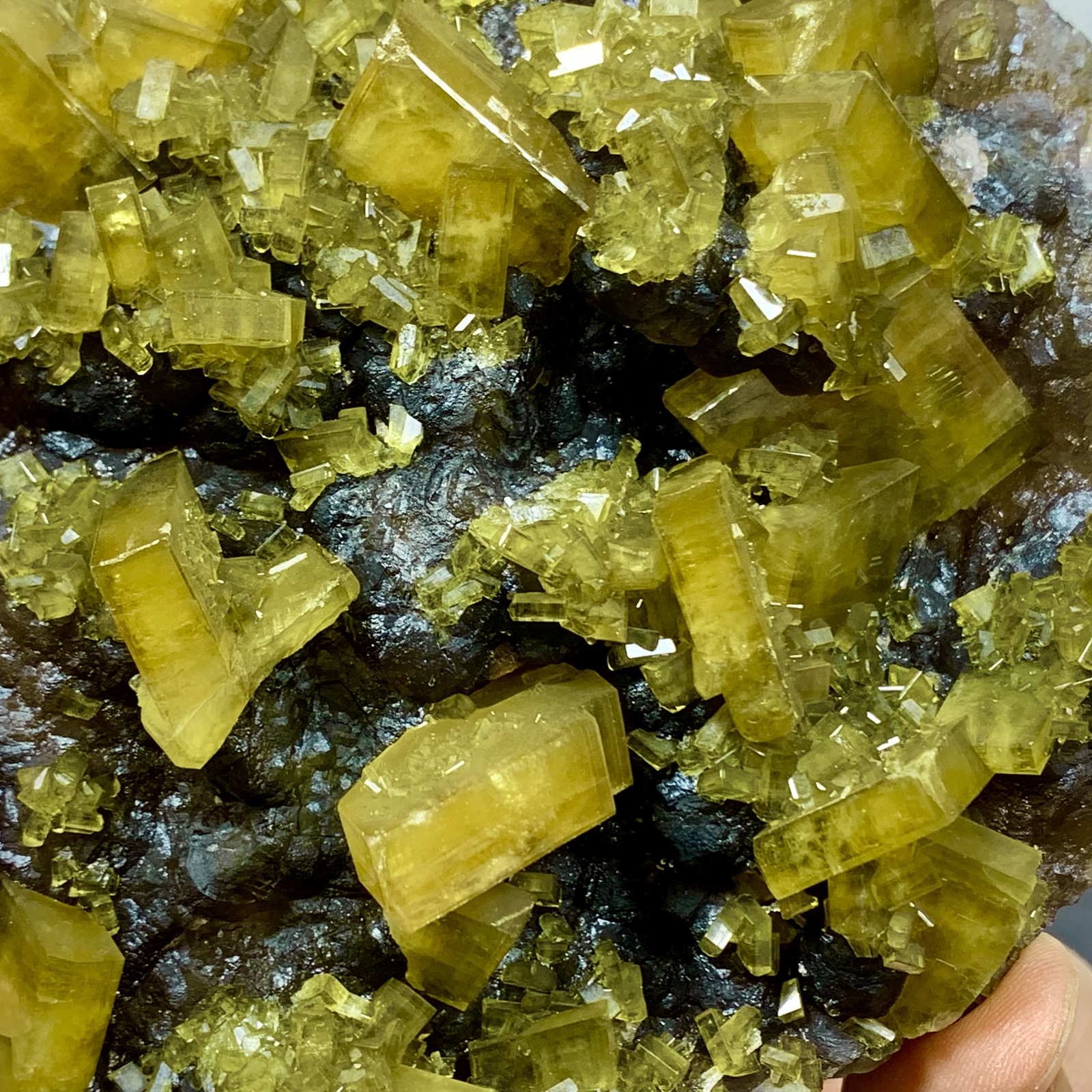 2.76LB Shiny Golden Cuboid Barite Crystal Based on the Purple Spherical Fluorite