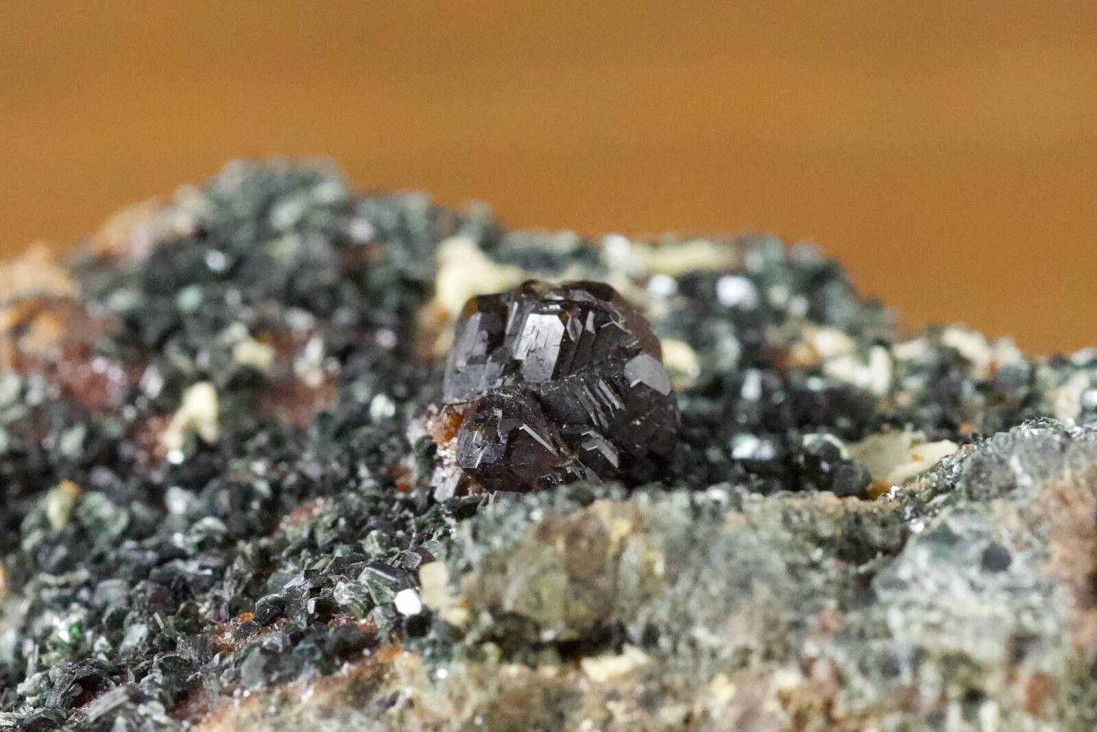 Grossular garnet (1 cm!) on clinochlore, Aosta Valley, Italy Ex. V.J. Hoffmann