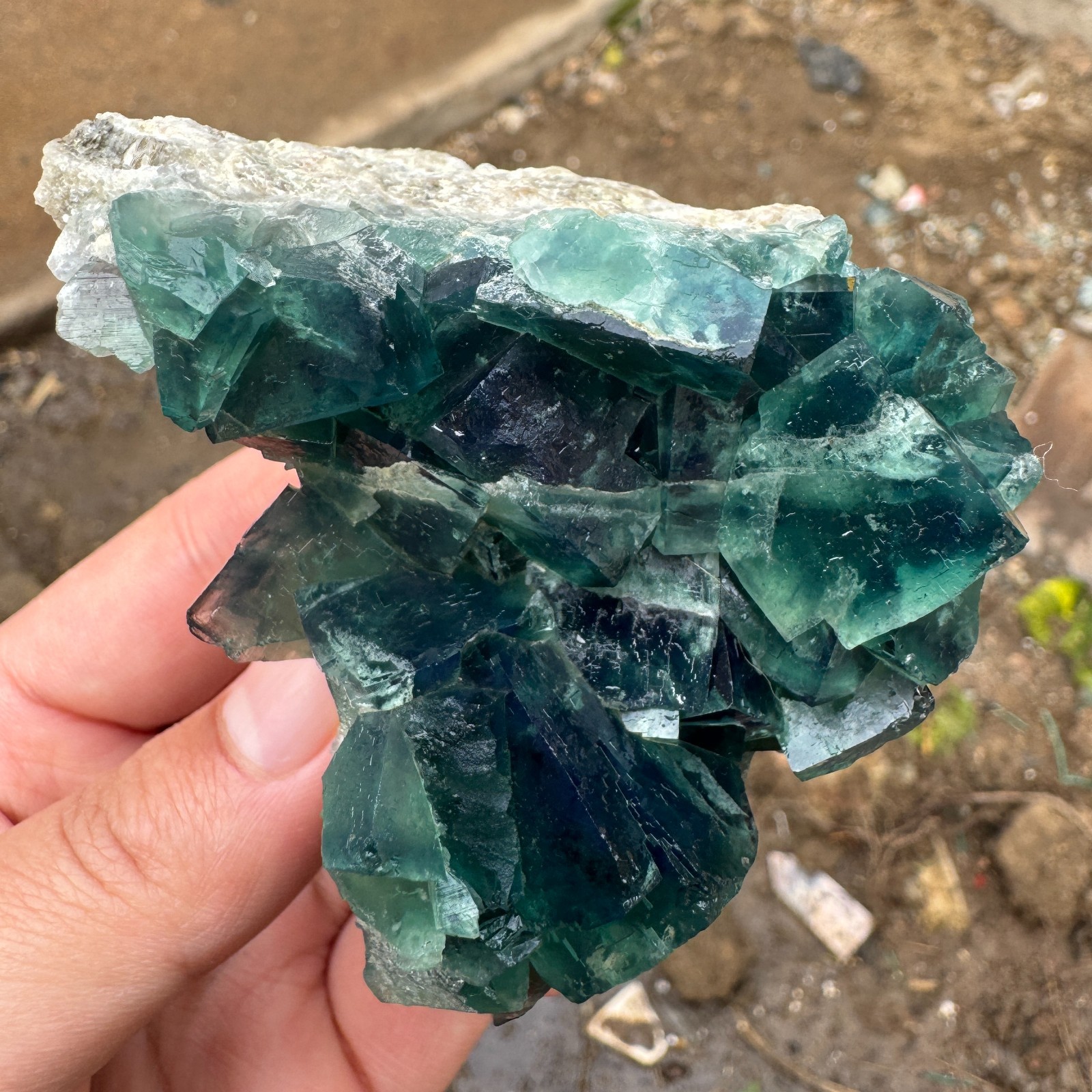 190G Natural cubic green fluorite crystal cluster rough mineral specimen Healing