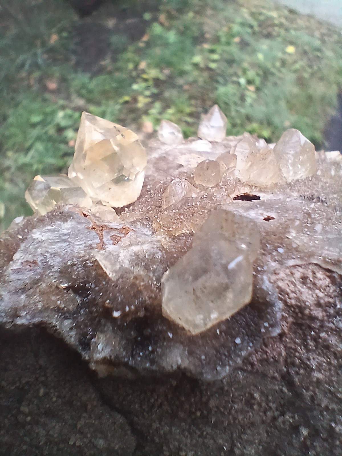 “Gorgeous 😍 Golden Healer” Herkimer💎s On Druze Matrix Dolostone Host Rock NY