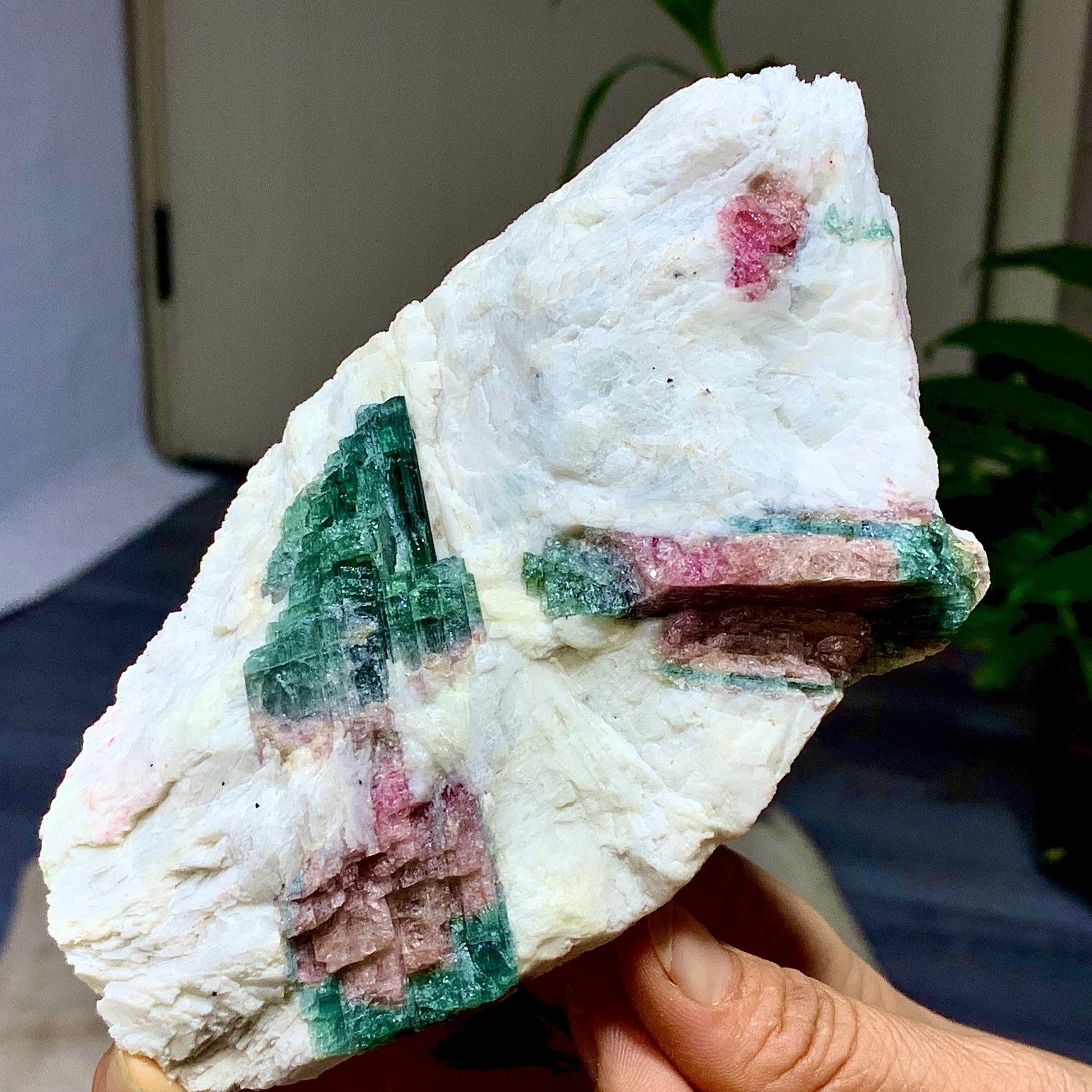 449G Natural pink-green tourmaline quartz crystal cluster mineral specimen