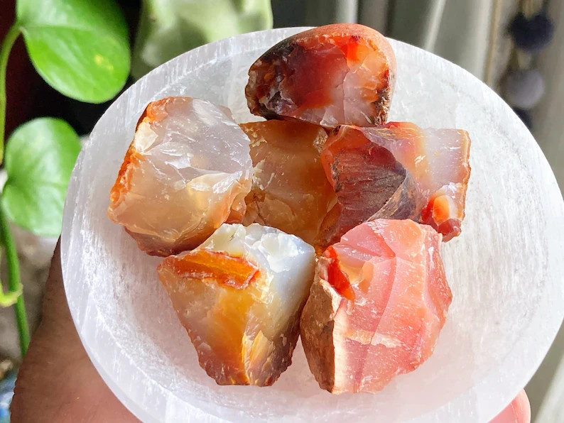 Natural Raw Carnelian Stone Red Agate Healing Gemstone Mineral Specimen Gifts