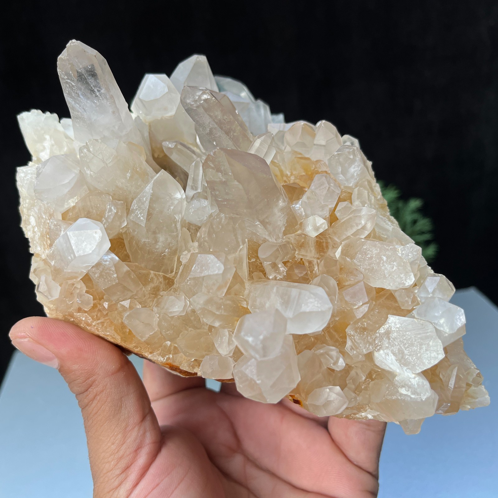 Crystal Cluster Minerals Dazzling Golden Hue Natural Himalayan Yellow Rough 2 lb