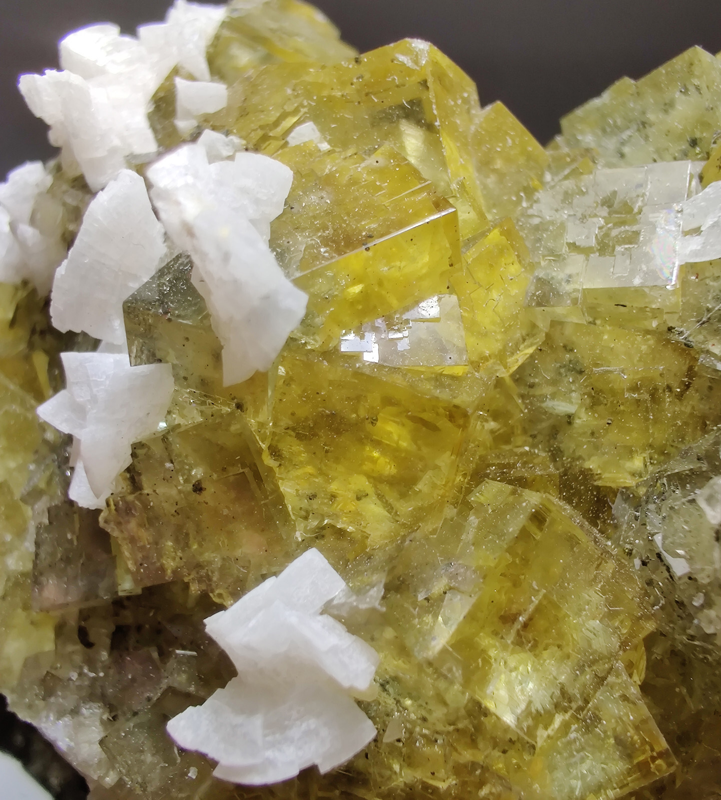 Fluorite crystals & Dolomite, Gorgeous! Moscona Mine, Spain. 7.5 cm.