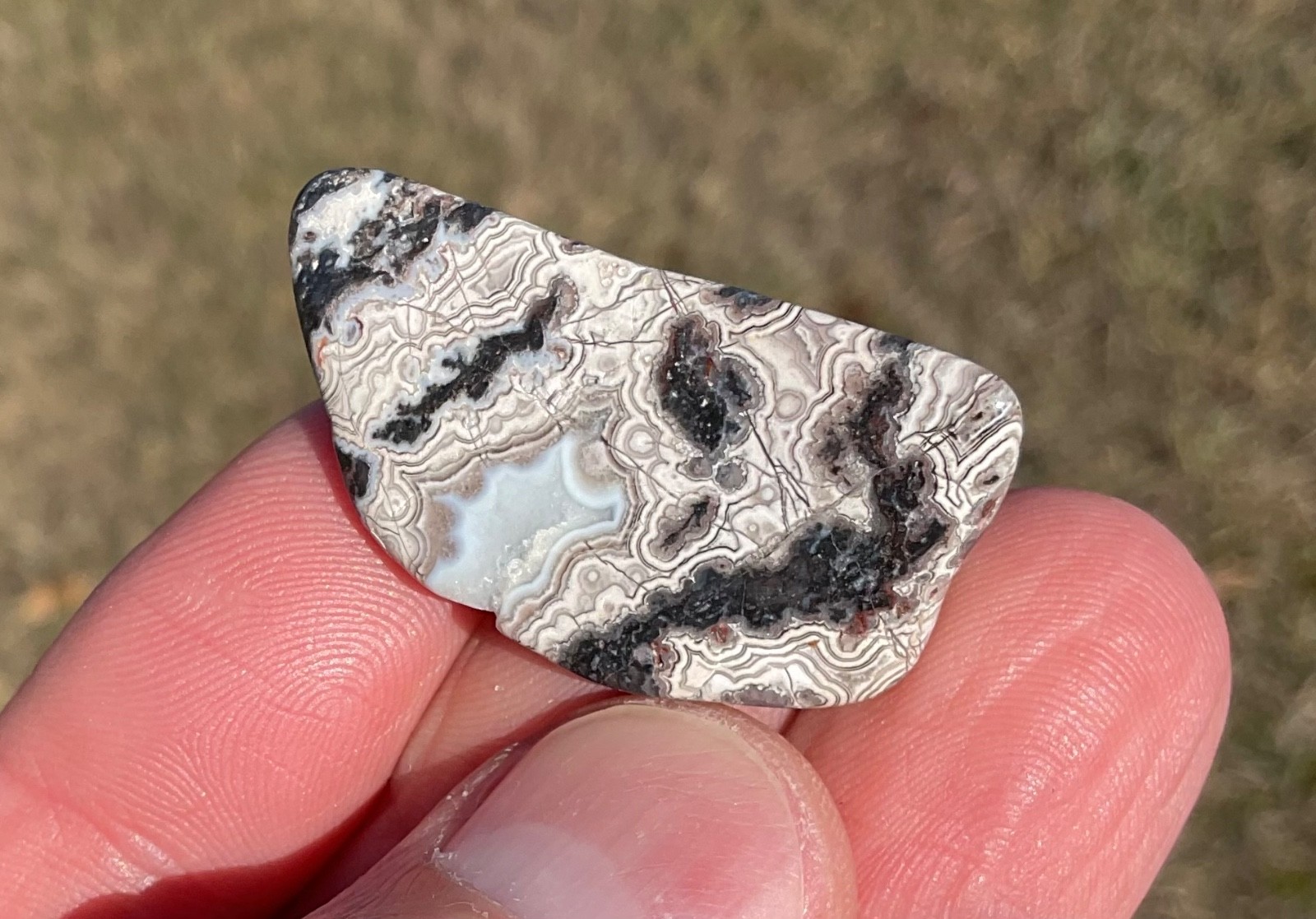Polished Crazy Lace Agate Cabochon Preform Lapidary Gemstone High Grade