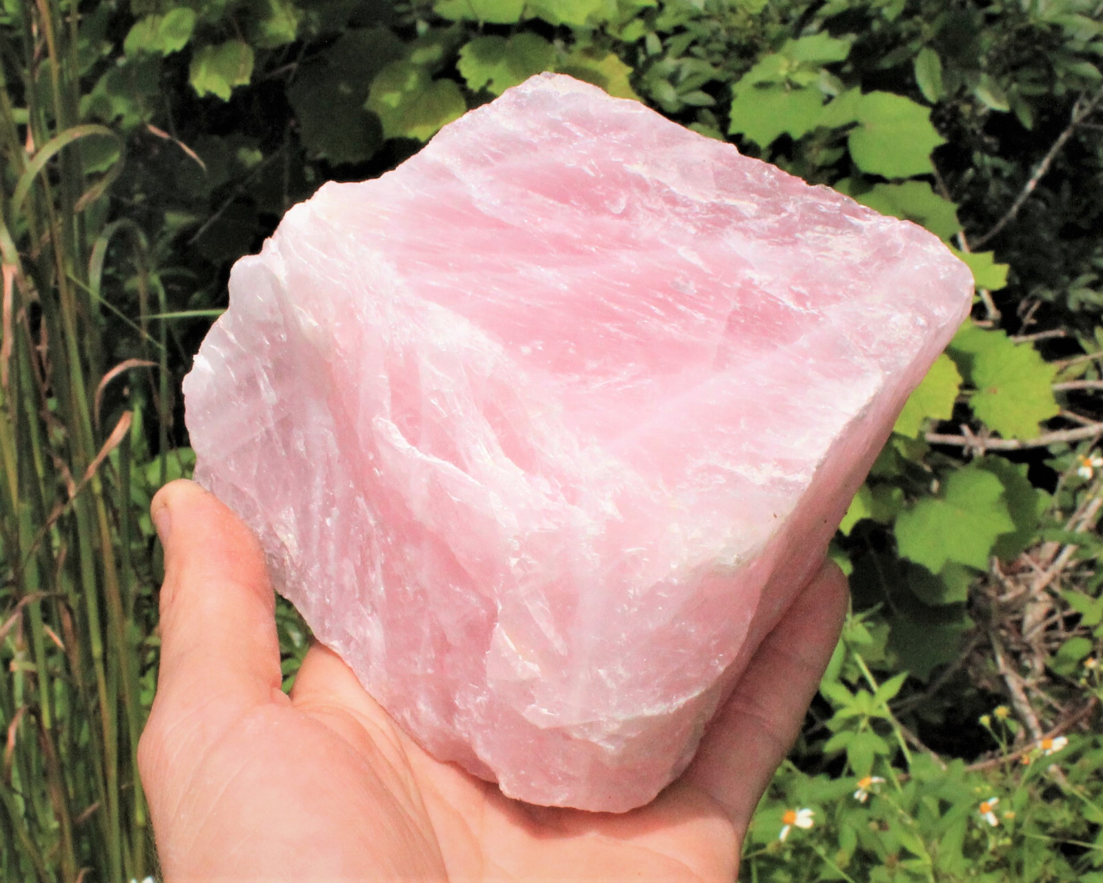 JUMBO Rose Quartz Natural Raw Crystals – Choose Size Huge Chunks (Love Stone)