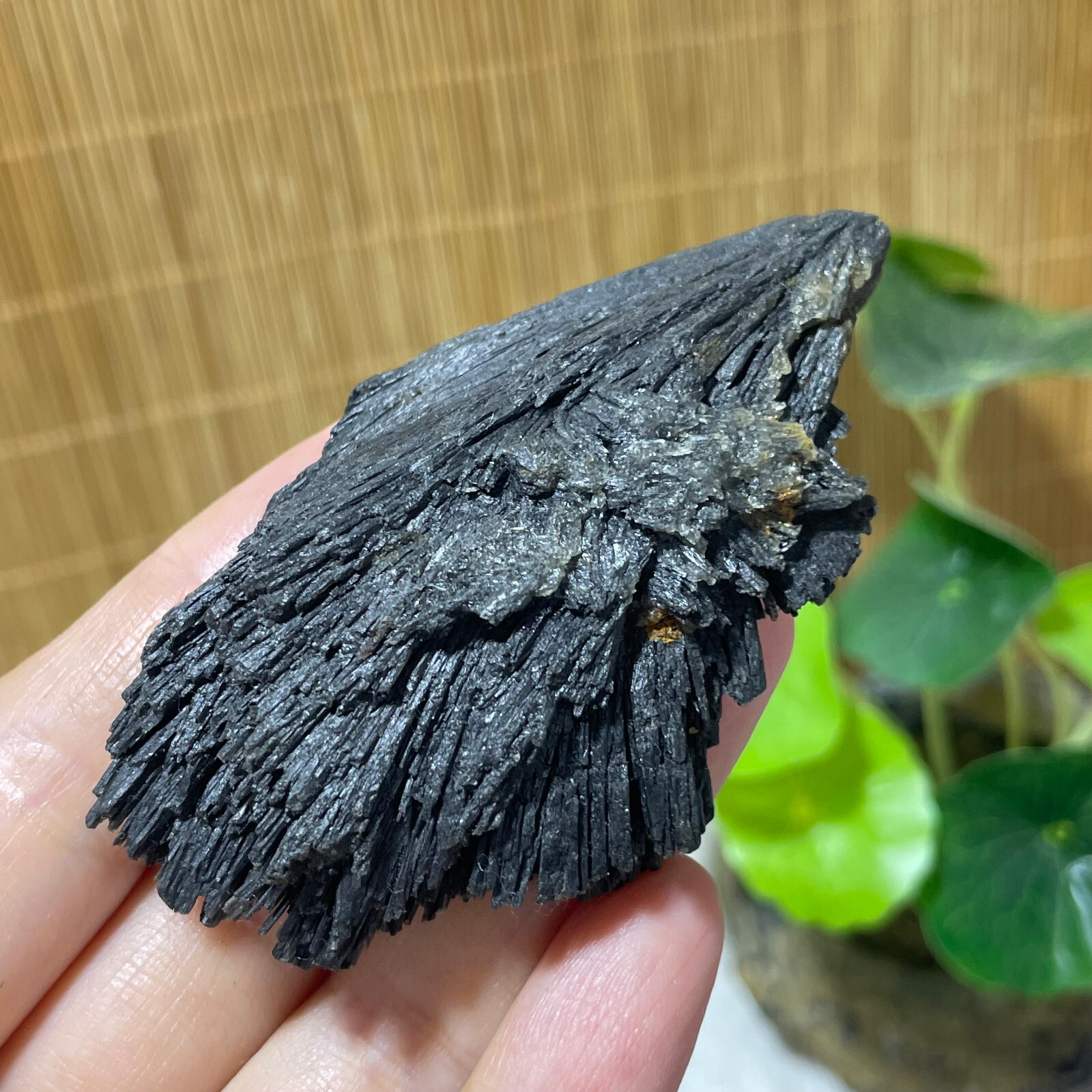 64g Natural Irregular natural black crystal cluster mineral specimen（dian qishi）