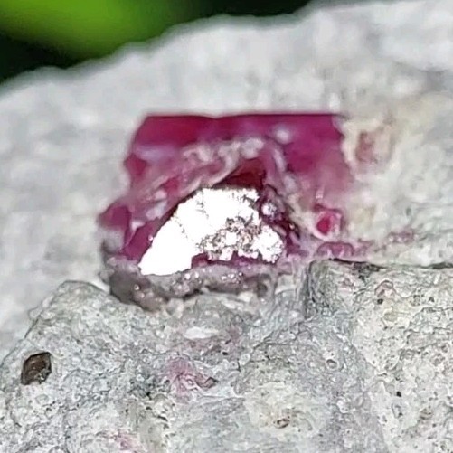 ULTRA GEM FACET GRADE SECTIONS LARGE RED BERYL / BIXBITE ON MATRIX UTAH, USA