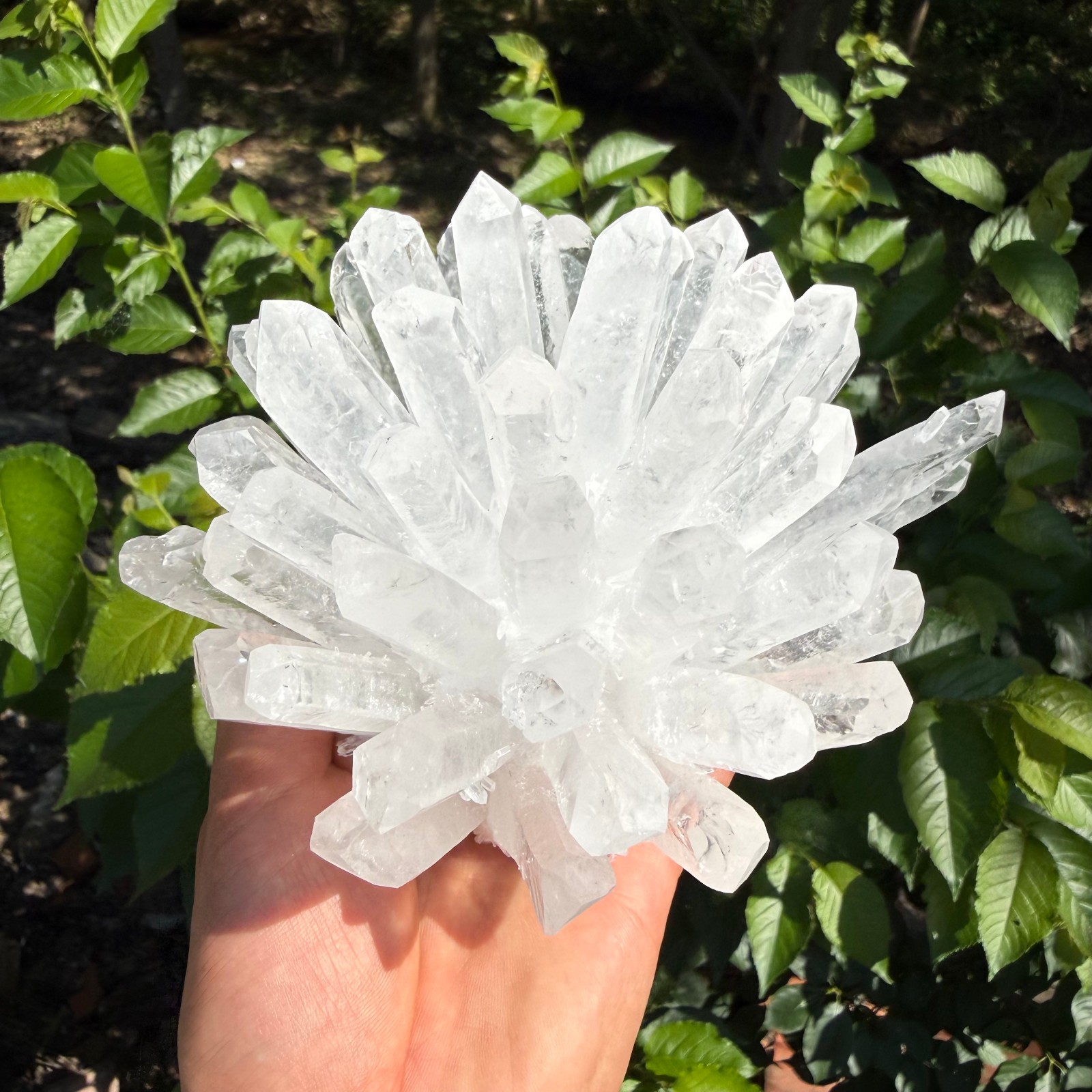 2.2LB Large Natural White Clear Quartz Cluster Crystal Mineral Healing 1pc