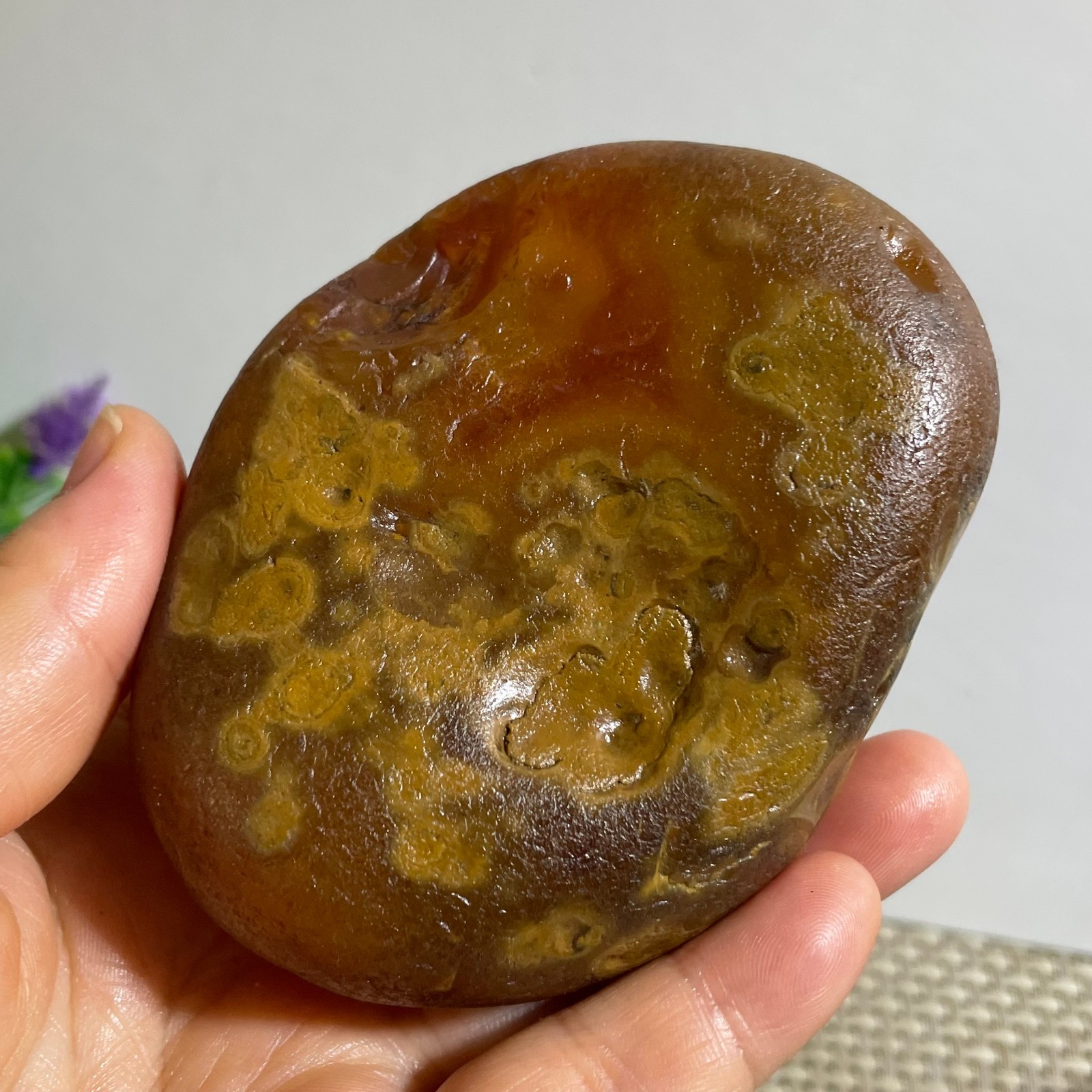 Bonsai Suiseki- Gobi Agate Eyes Stone-Rare Stunning Viewing 290g