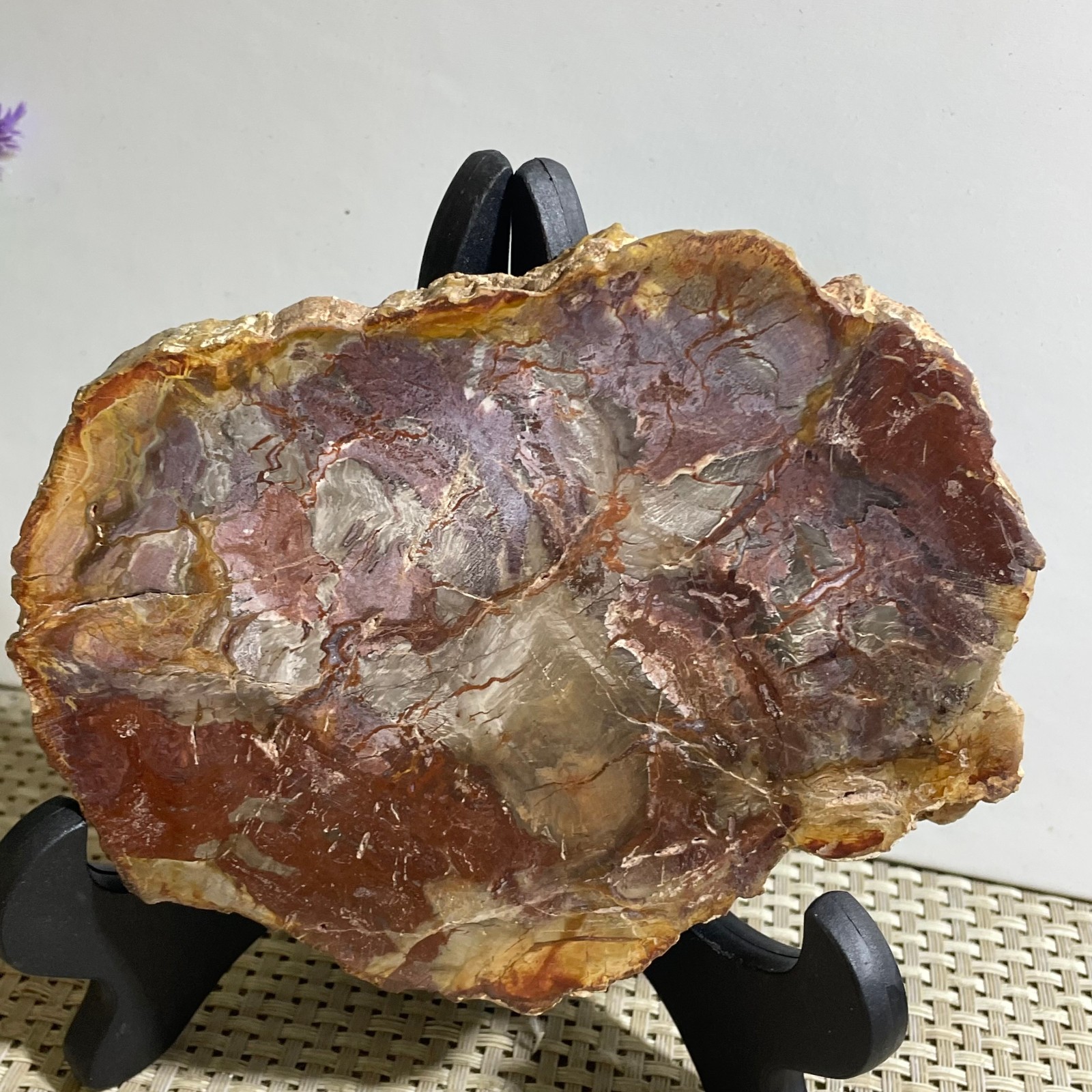 Natural Polished Petrified Wood Crystal Slice Madagascar 350g