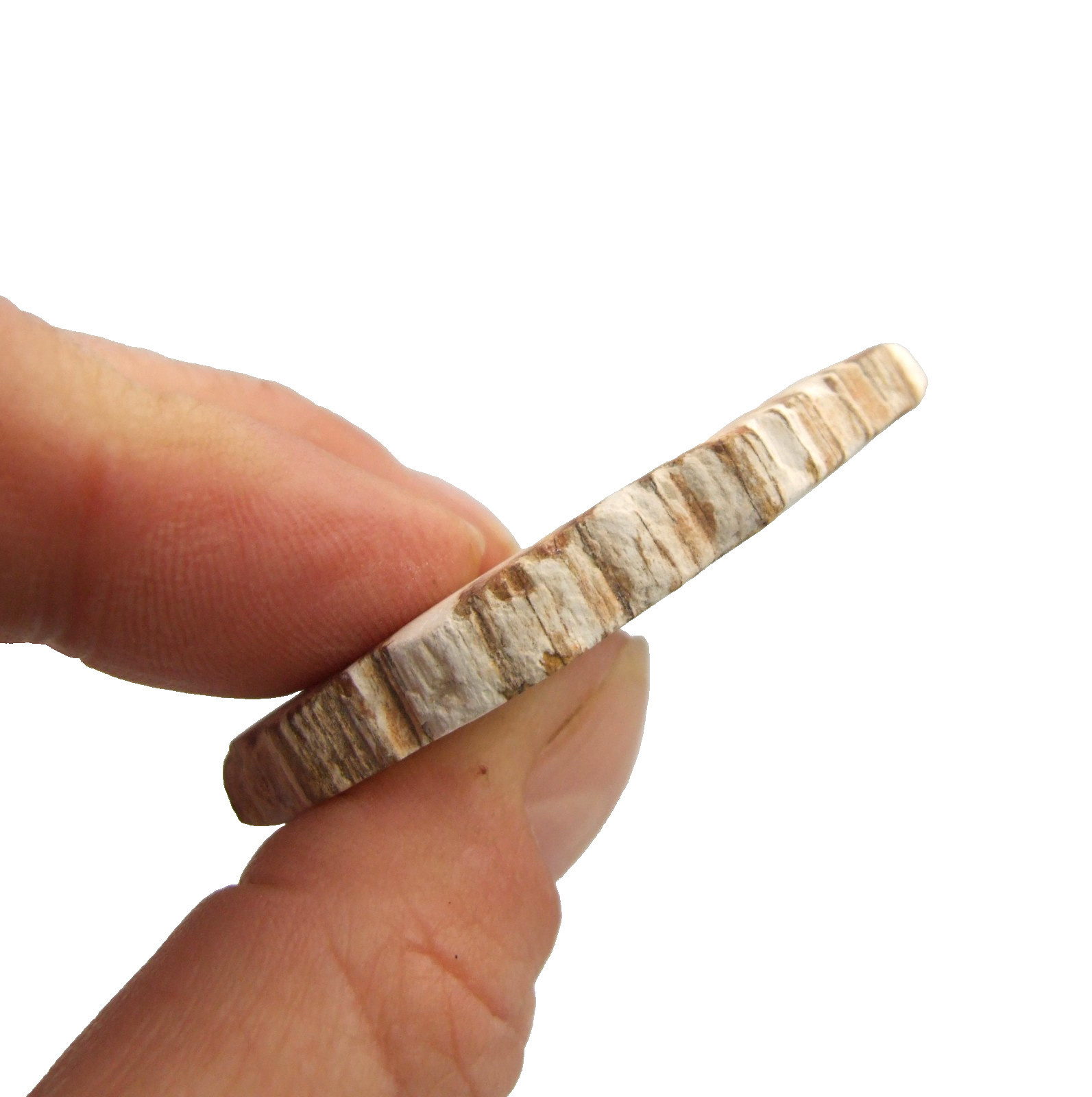 Fossil Petrified Wood Slice Madagascar Polished 5cm x 3.5cm 17g