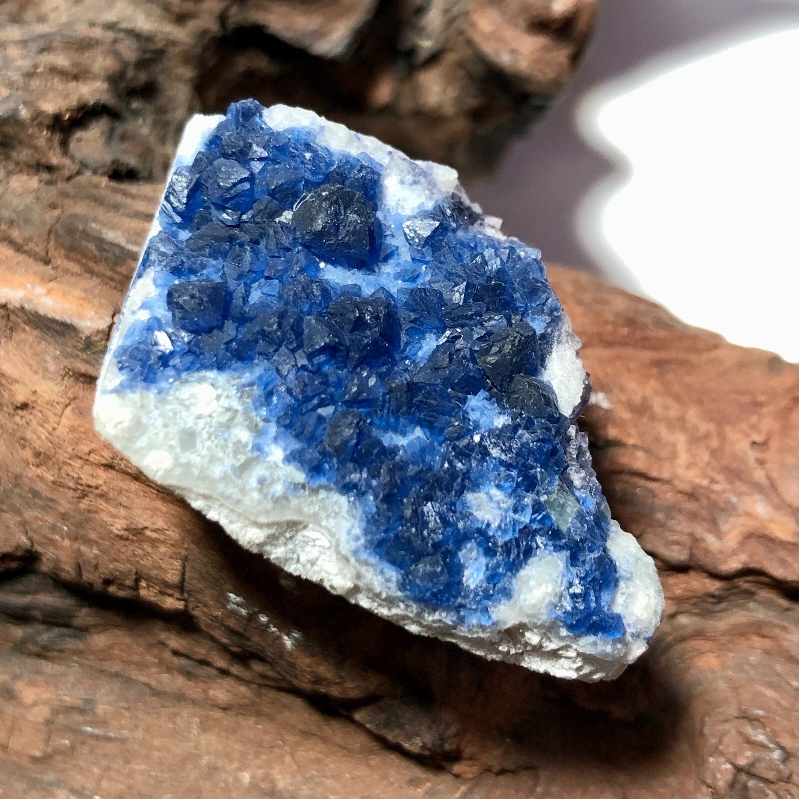 Tiny Blue Fluorite Cluster Crystal Mineral specimen Healing Chakras 25g 3.5cm