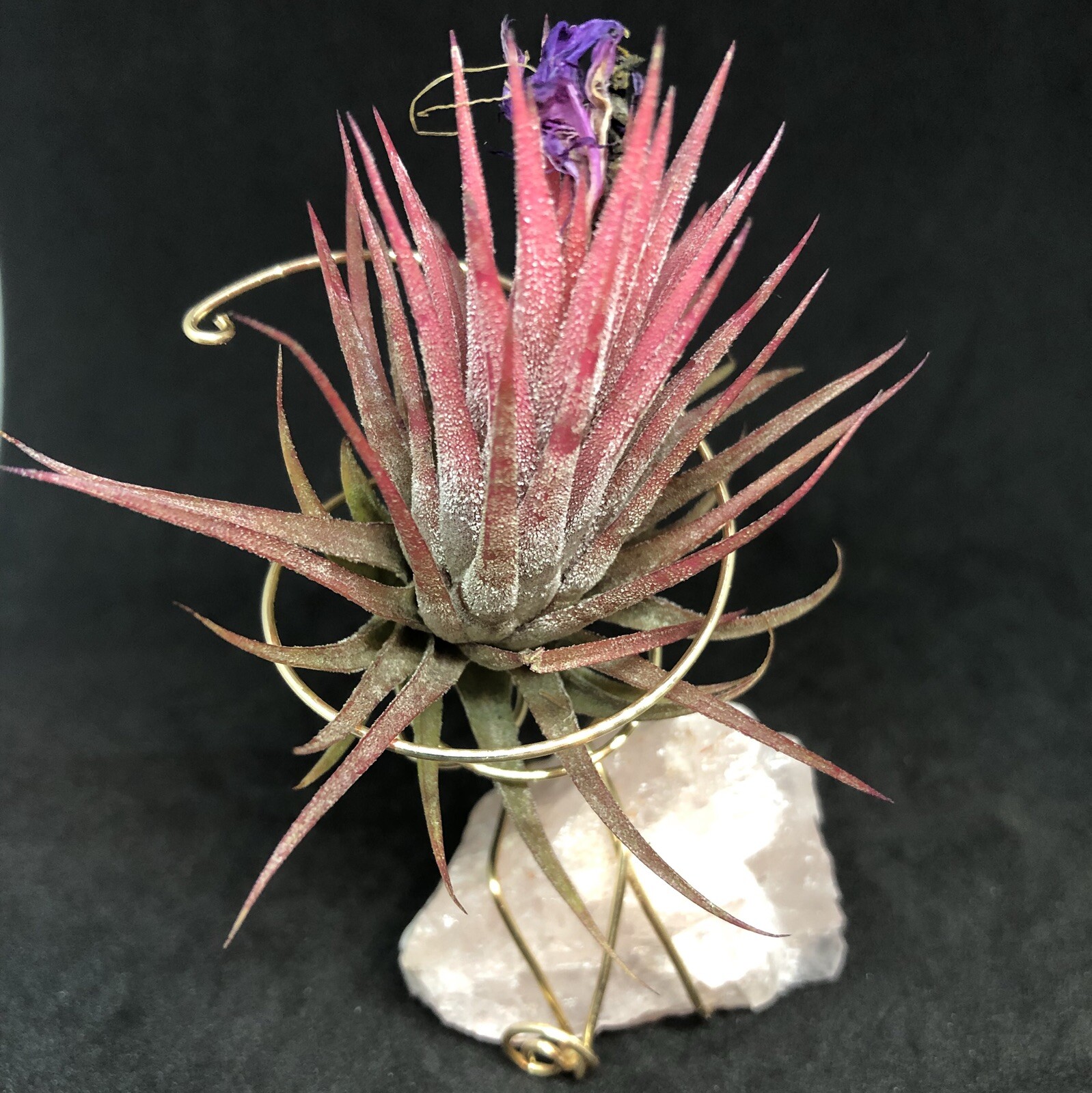 Rose Quartz Air Planter, Attract love, Crystal Air Plant