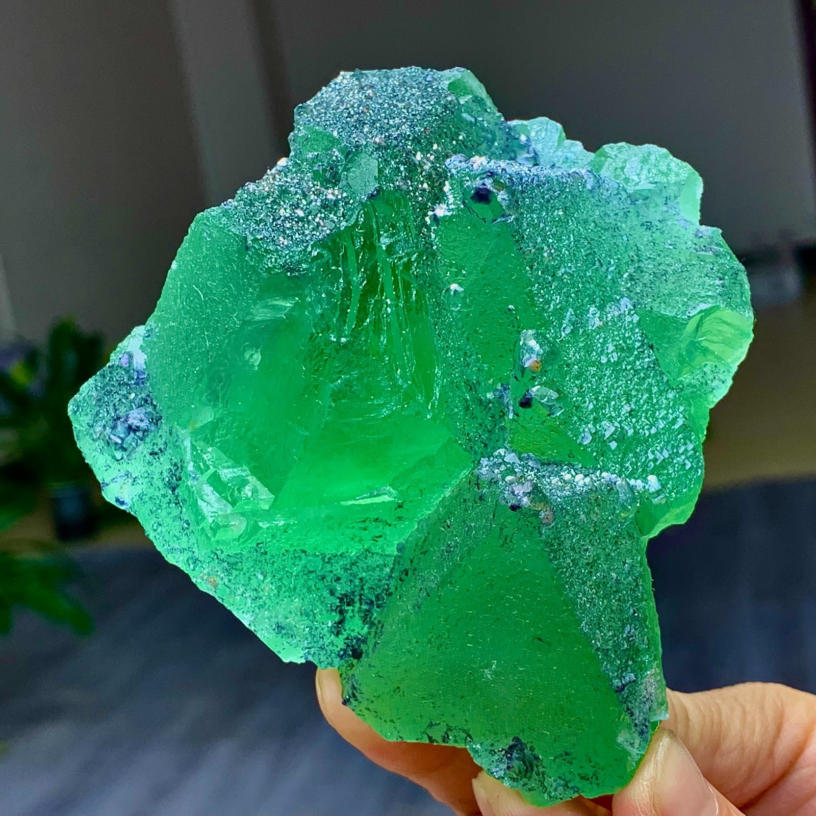 1.24LB Rare transparent green cubic Zhejiang fluorite mineral sample