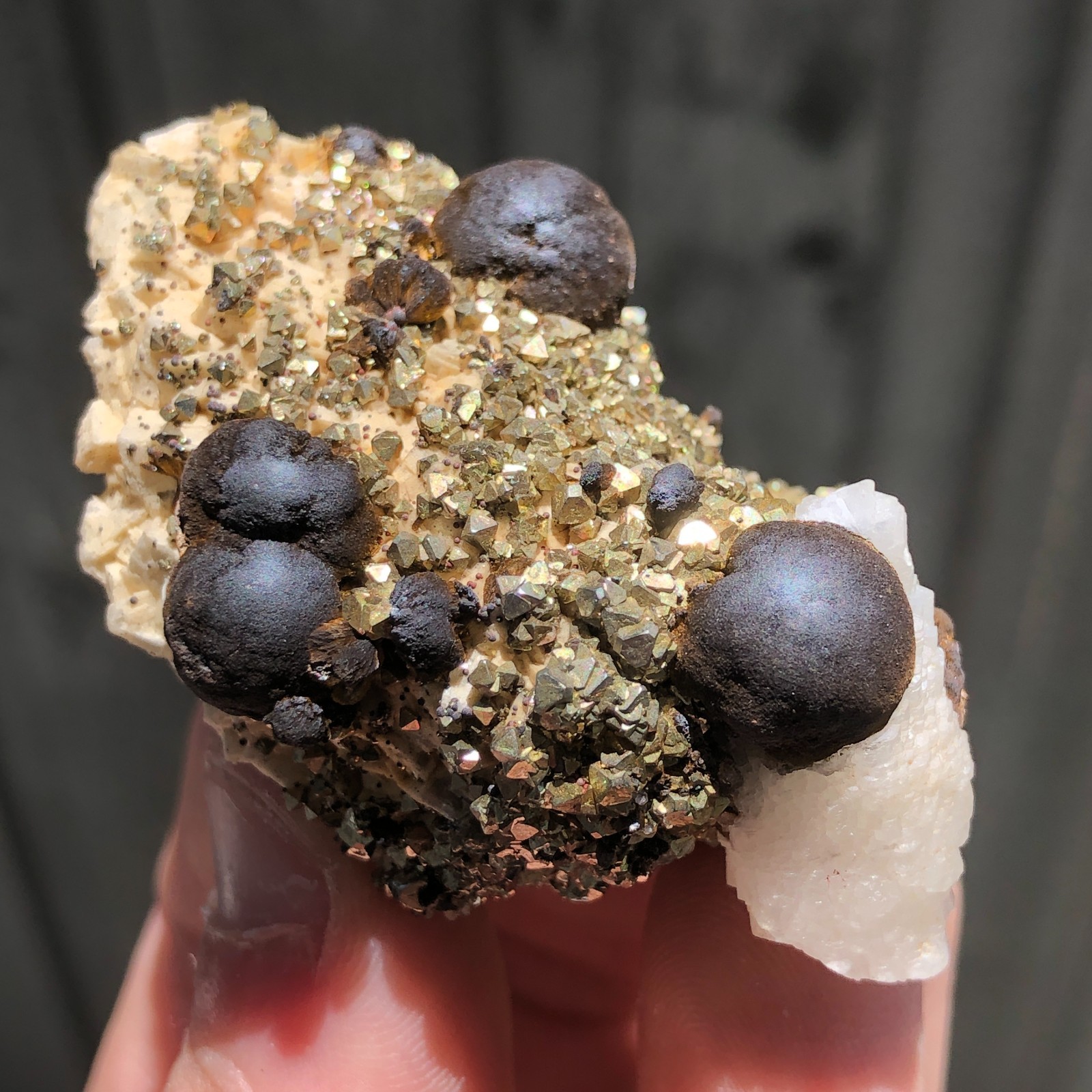 6.3cm Goethite on Pyrite, Calcite & Dolomite Crystals from Wawa, Ontario, Canada